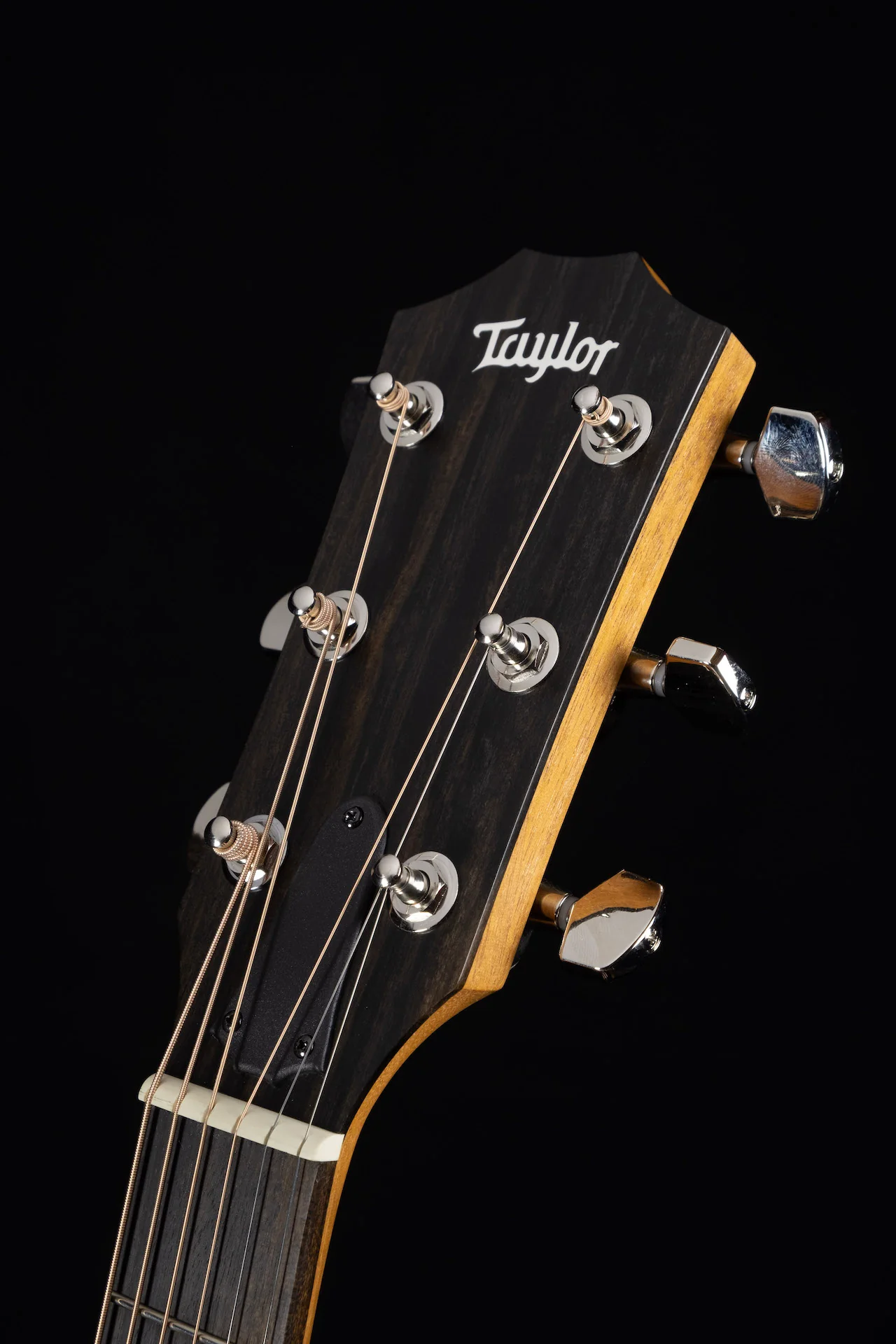 Taylor 214ce Plus Acoustic Electric Guitar With Aerocase - Image 13