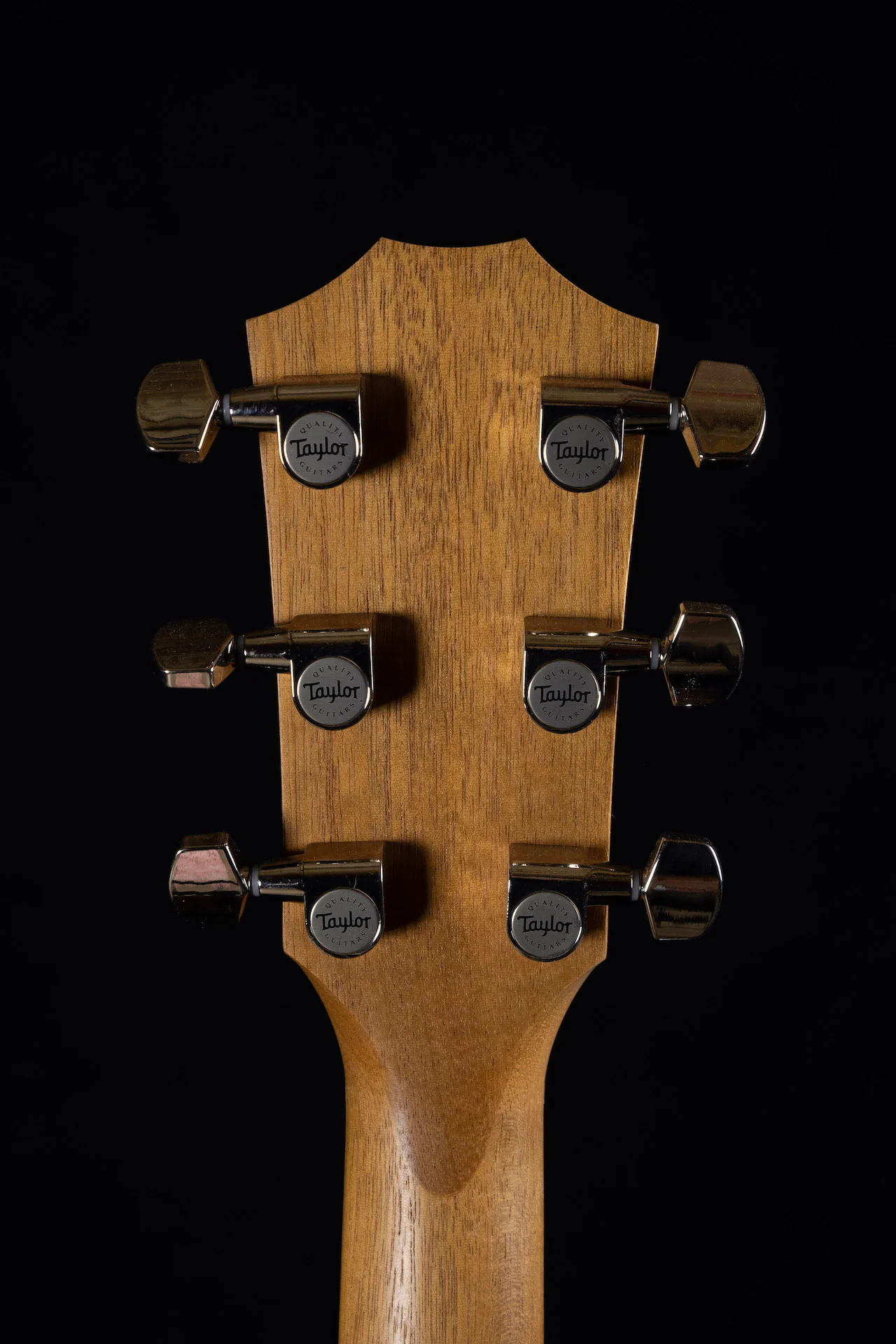 Taylor 214ce Plus Acoustic Electric Guitar With Aerocase - Image 14