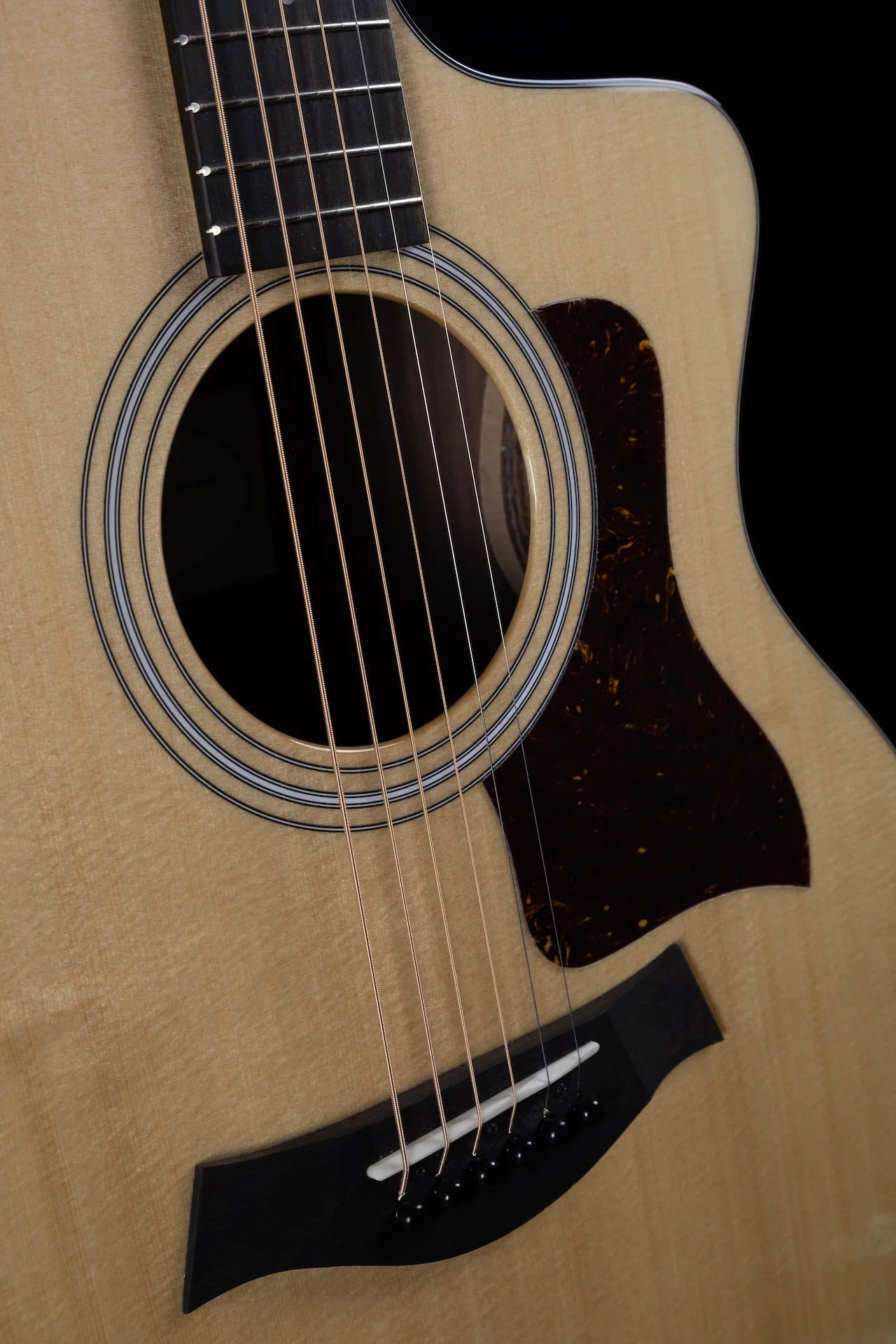 Taylor 214ce Plus Acoustic Electric Guitar With Aerocase - Image 6