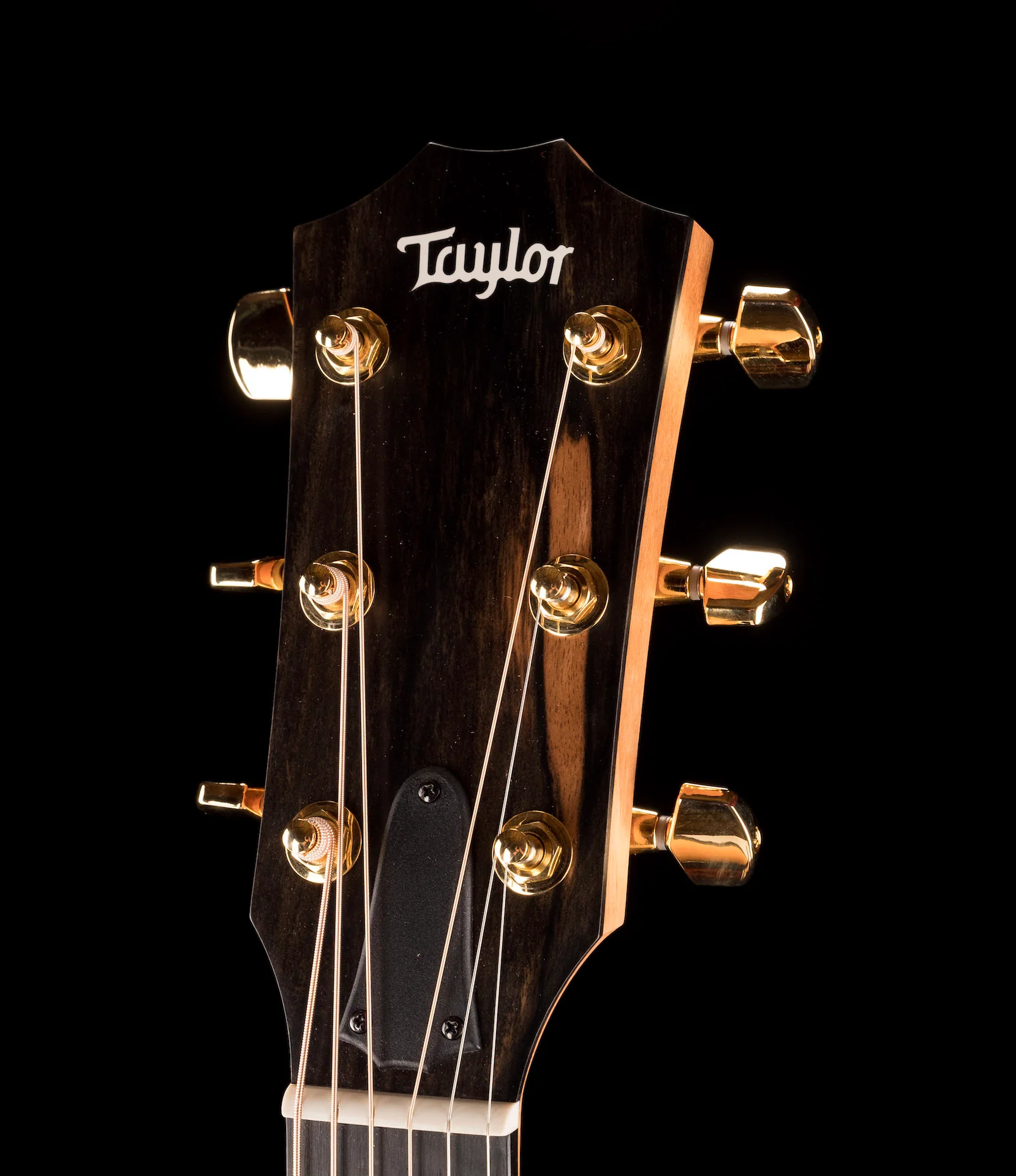 Taylor 224ce-K DLX Acoustic Electric Guitar With Case - Image 15