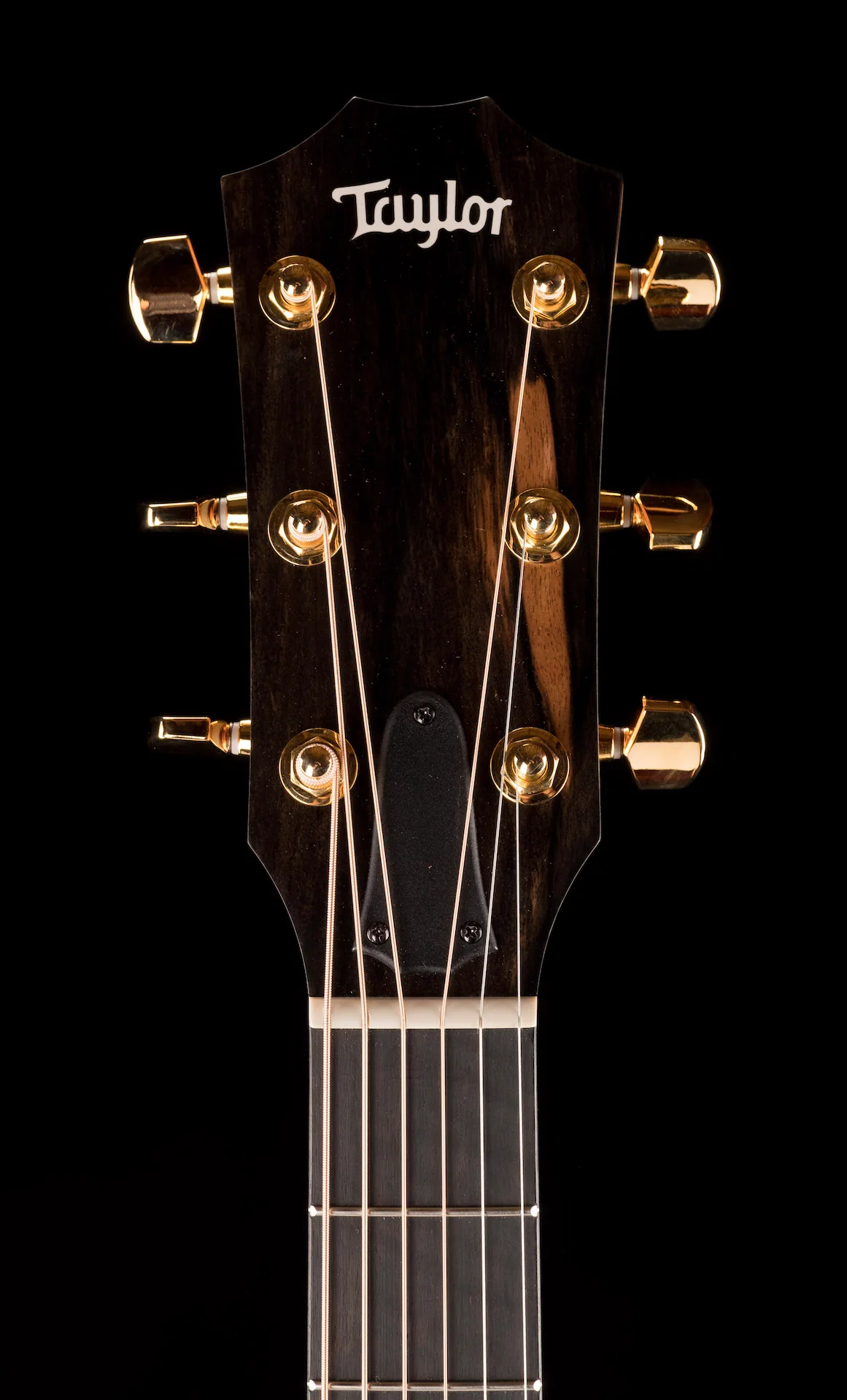Taylor 224ce-K DLX Acoustic Electric Guitar With Case - Image 16