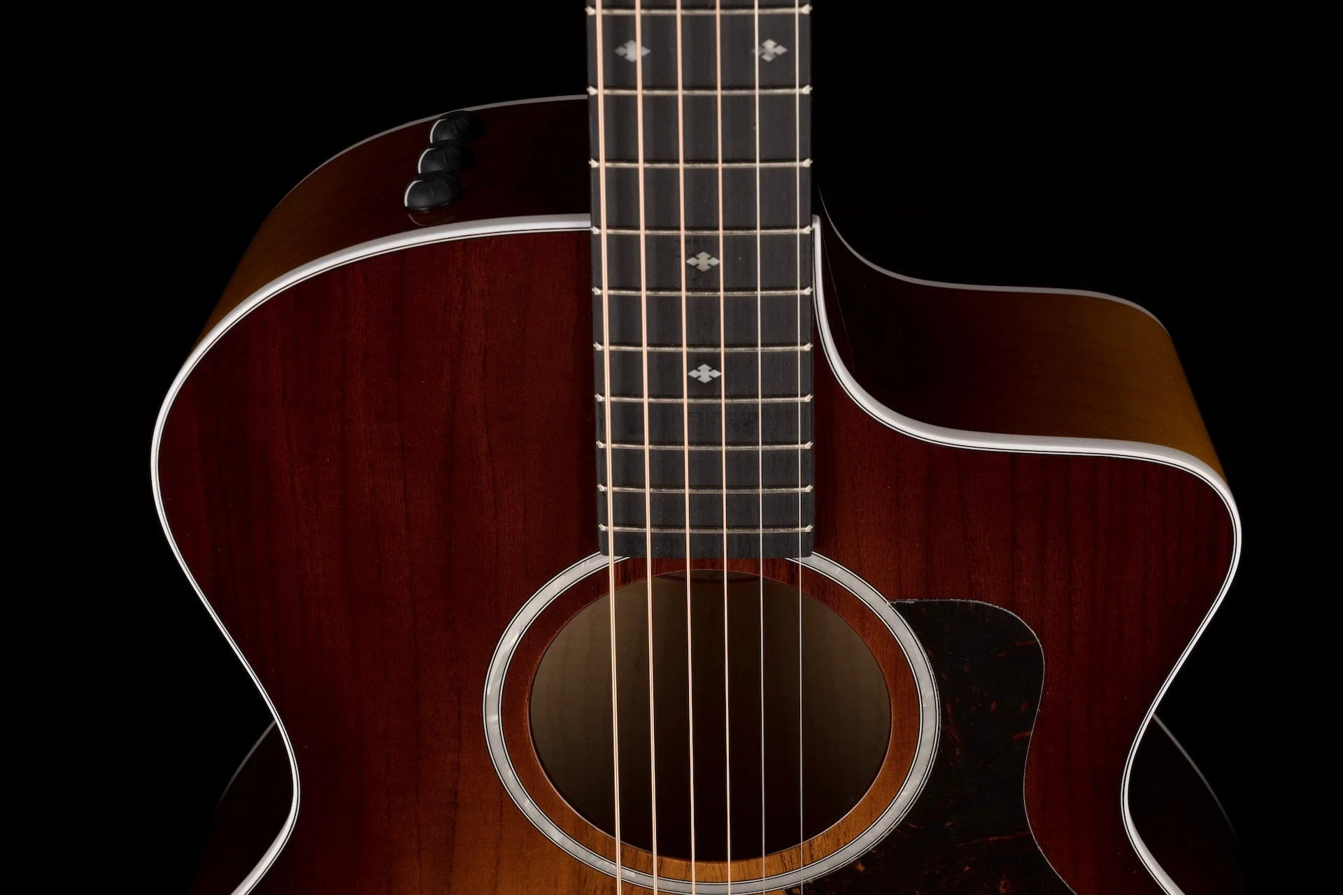 Taylor 224ce-UA DLX LTD Acoustic Electric Guitar With Case - 2022 - Serial # 2208052217 - Image 3
