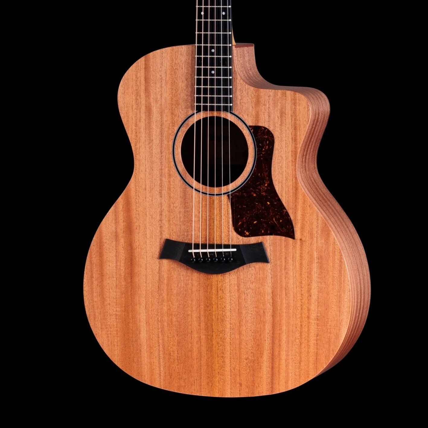Taylor 24ce Acoustic Electric Guitar With Gig Bag