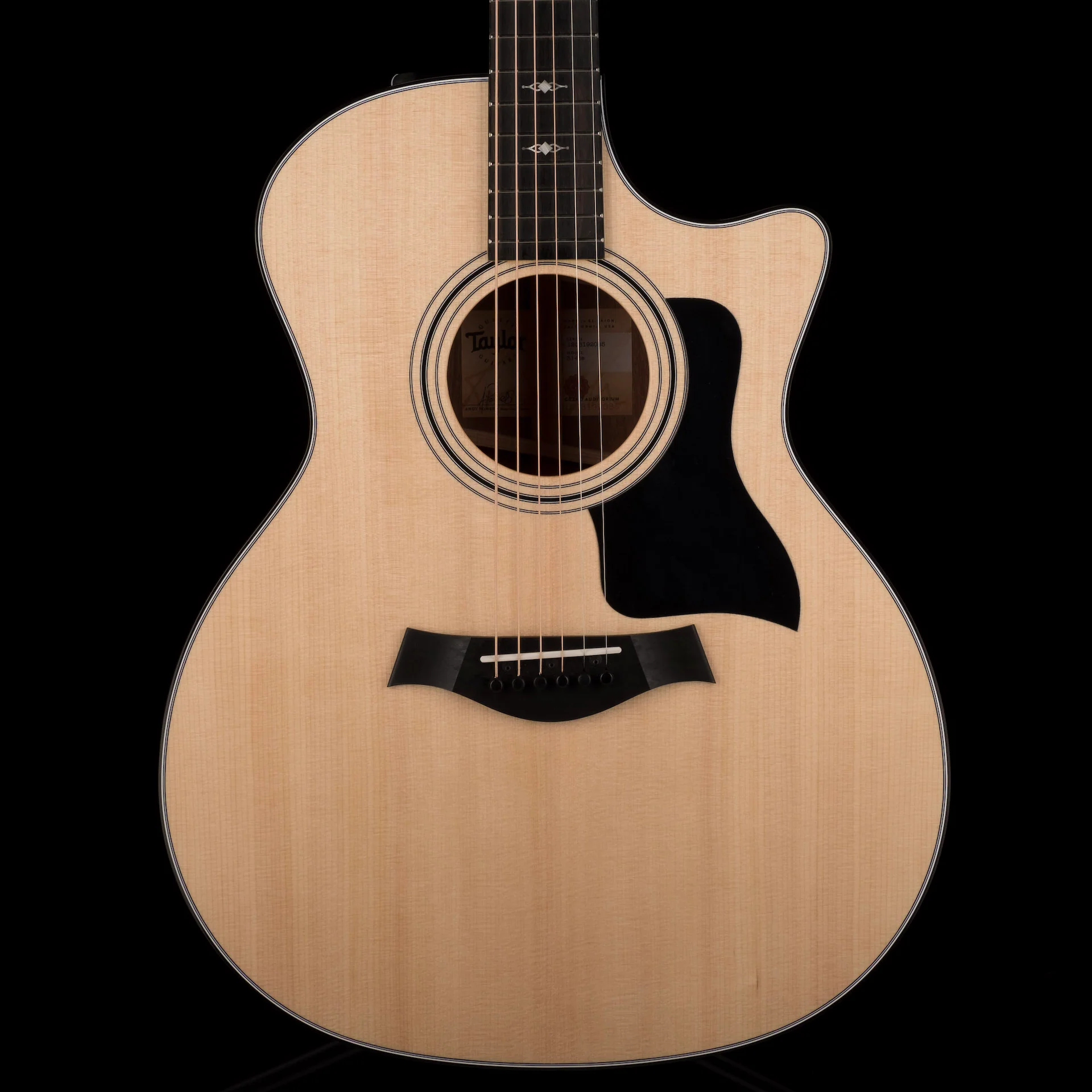 Taylor 314ce Grand Auditorium Acoustic Electric Guitar With Case  -  Demo
