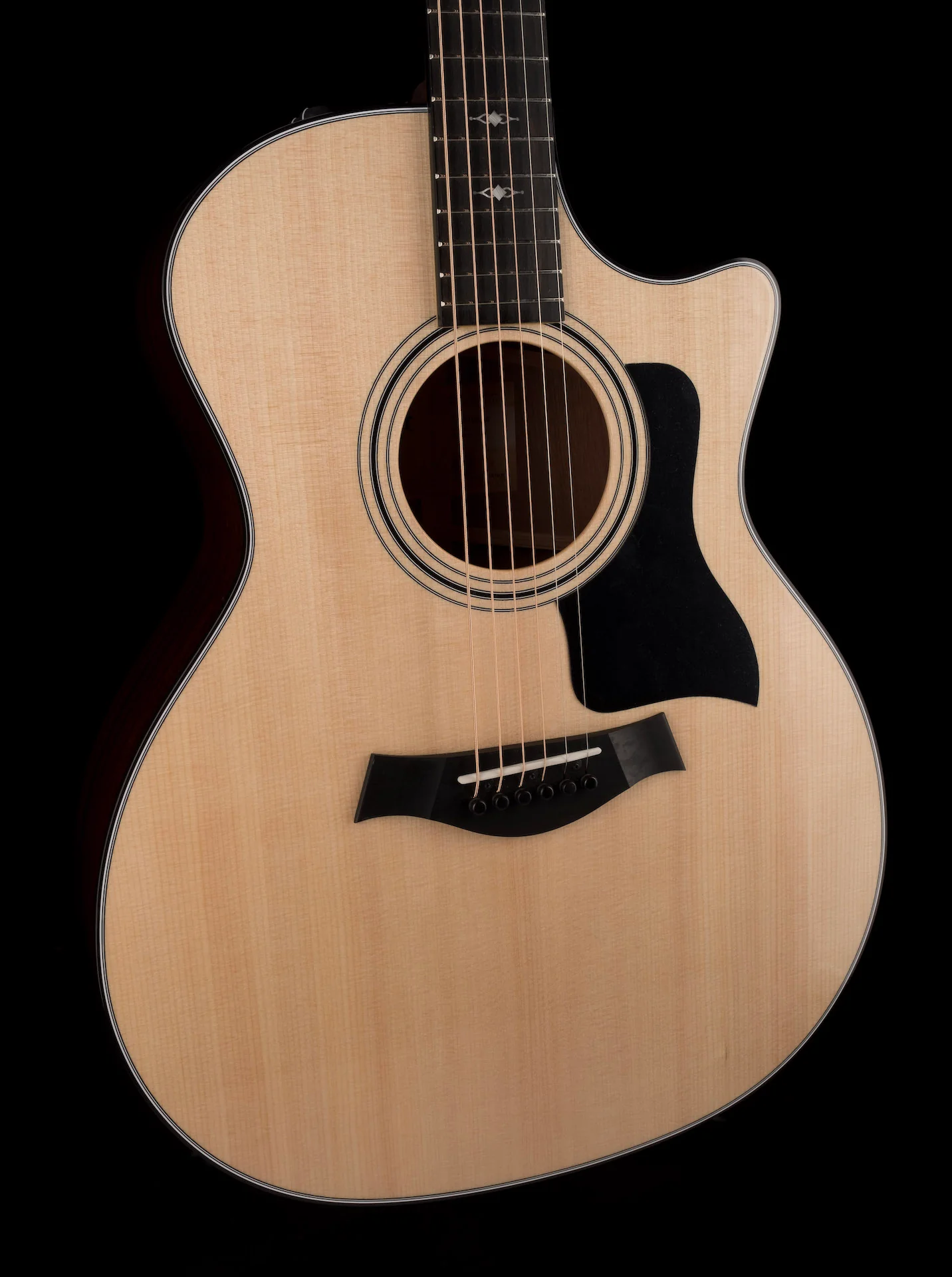 Taylor 314ce Grand Auditorium Acoustic Electric Guitar With Case  -  Demo - Image 11