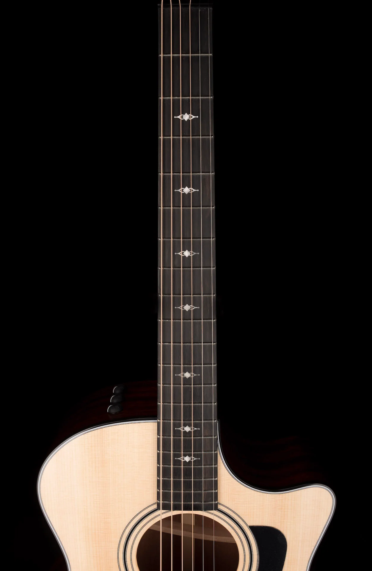 Taylor 314ce Grand Auditorium Acoustic Electric Guitar With Case  -  Demo - Image 13
