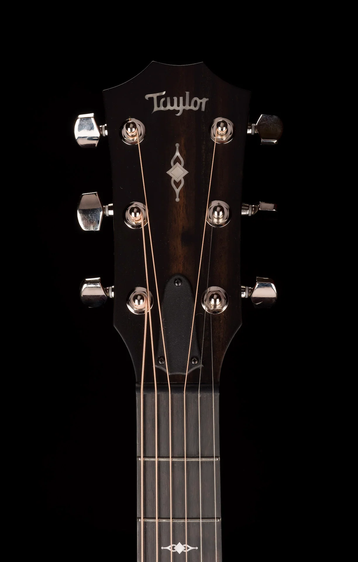 Taylor 314ce Grand Auditorium Acoustic Electric Guitar With Case  -  Demo - Image 17
