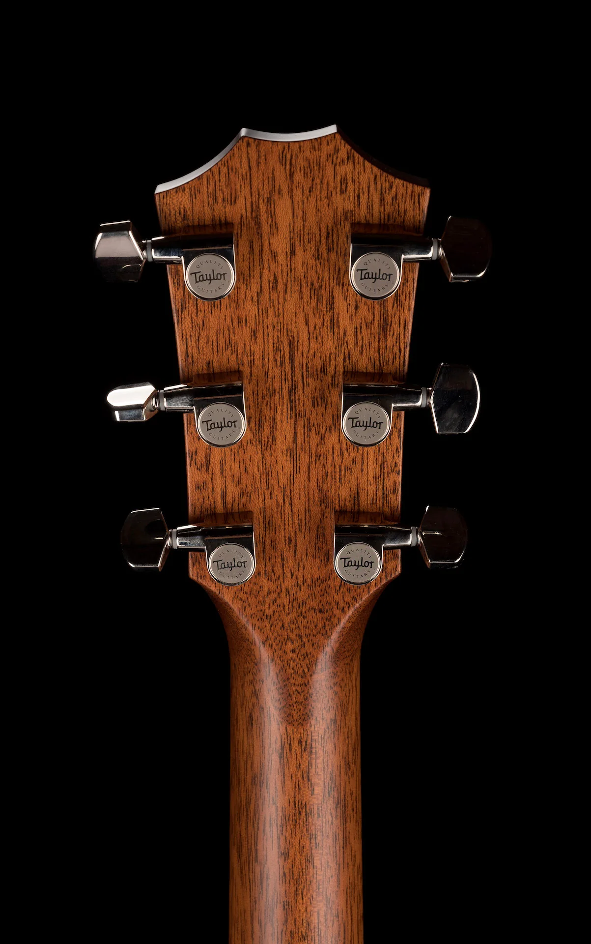 Taylor 314ce Grand Auditorium Acoustic Electric Guitar With Case  -  Demo - Image 18