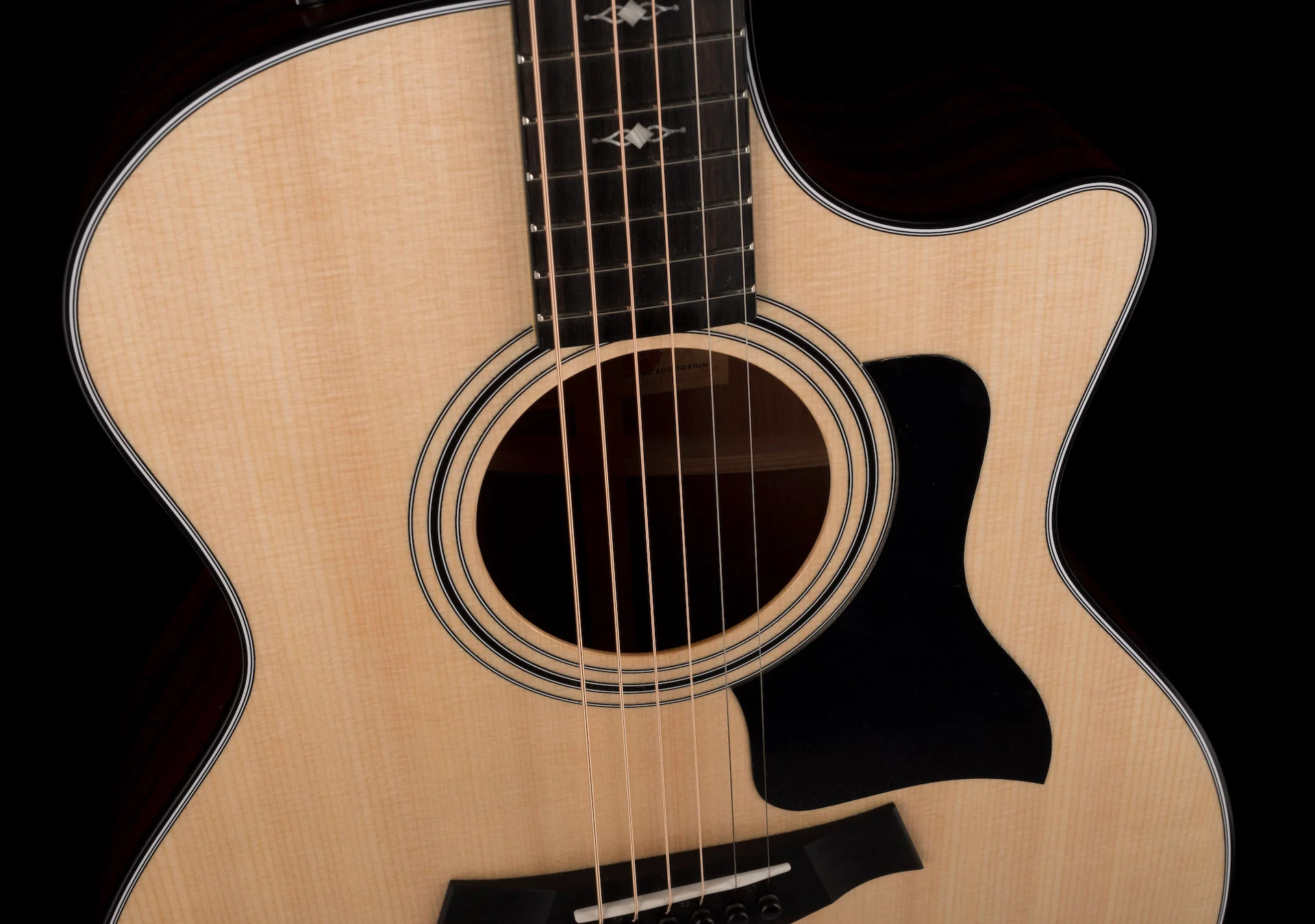Taylor 314ce Grand Auditorium Acoustic Electric Guitar With Case  -  Demo - Image 8