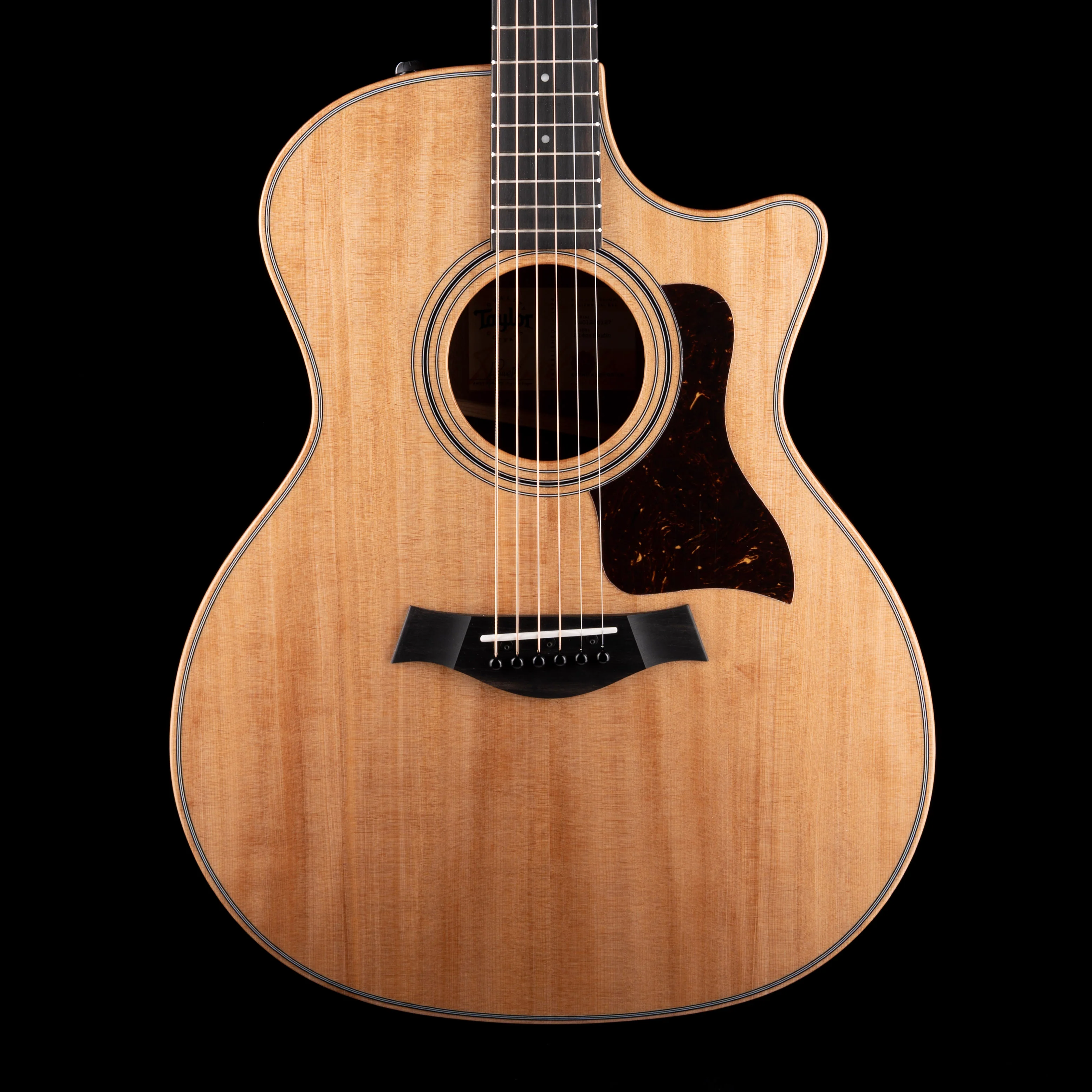 Taylor 314ce Studio Natural With Soft Case