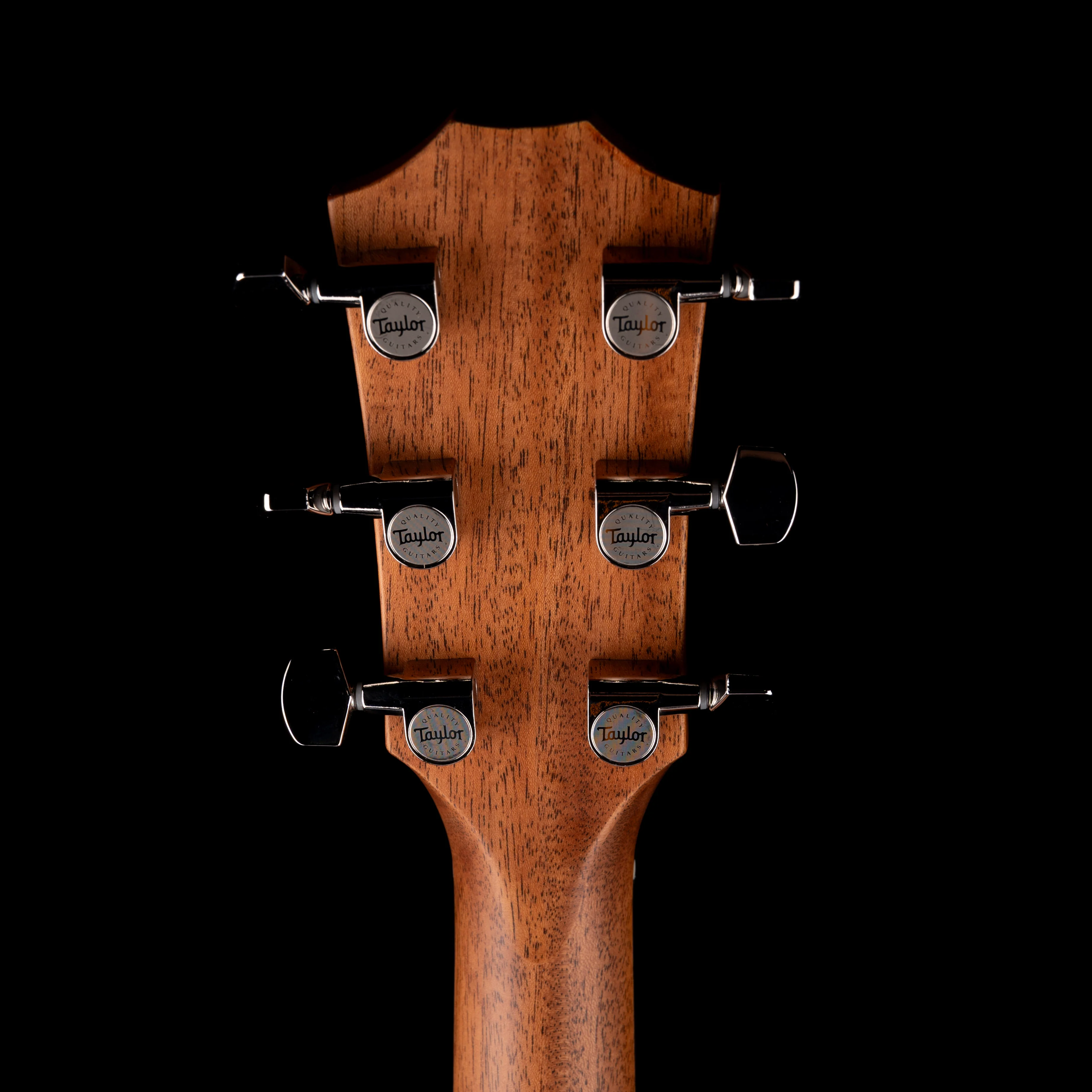 Taylor 314ce Studio Natural With Soft Case - Image 14
