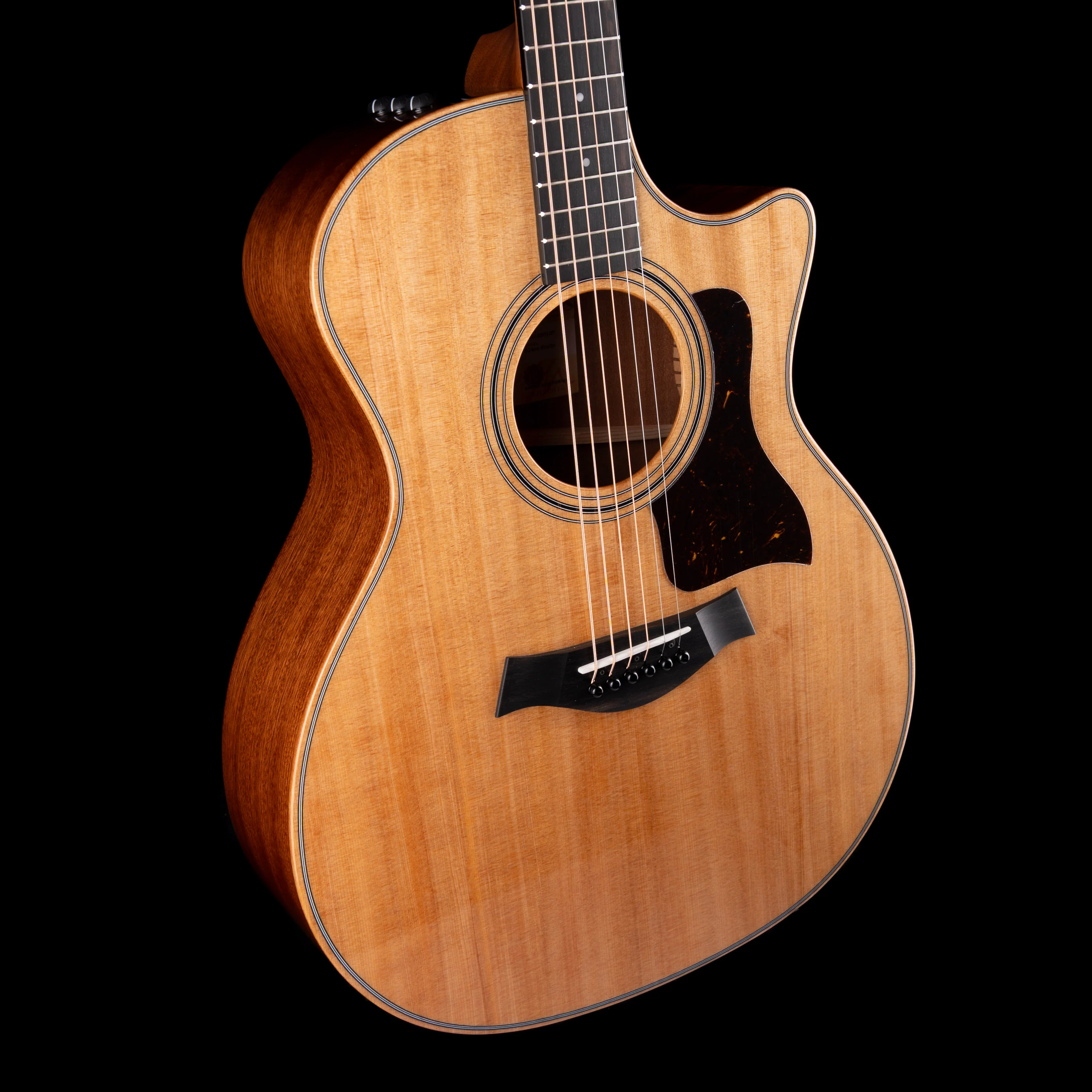 Taylor 314ce Studio Natural With Soft Case - Image 5