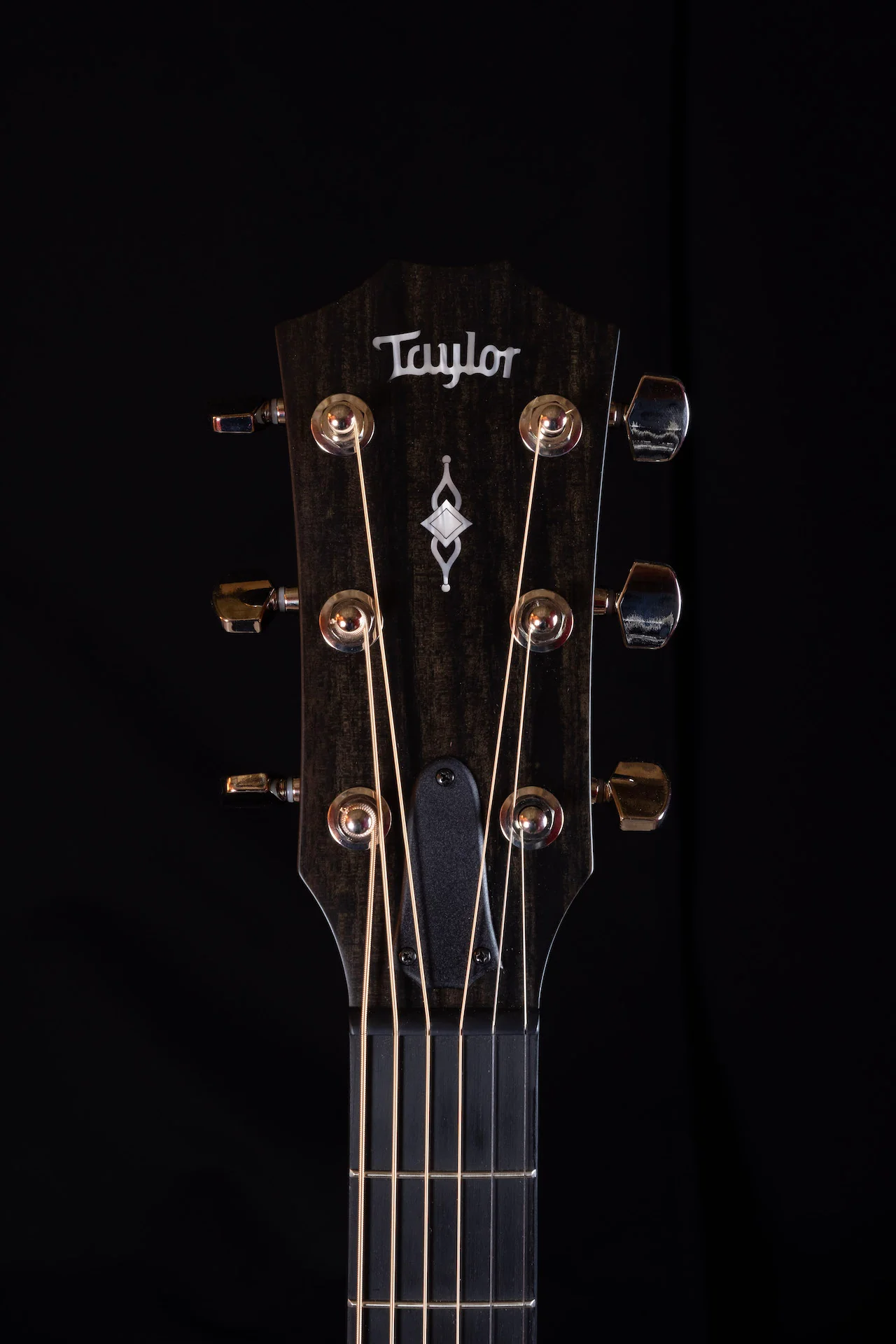 Taylor 317e Acoustic Electric Guitar With Case - Image 10