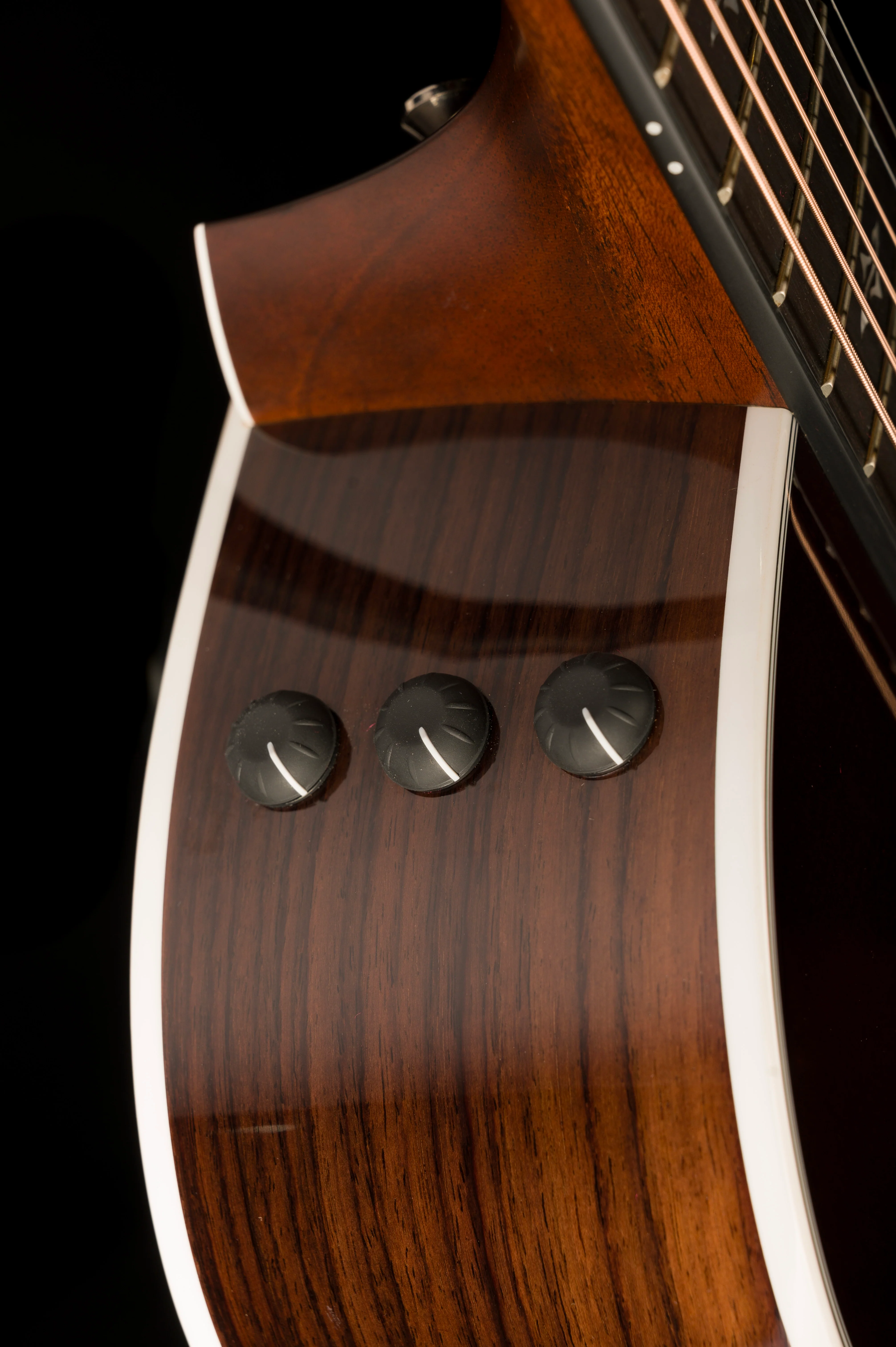 Taylor 412ce-R Grand Concert Indian Rosewood Tobacco Sunburst Acoustic Electric Guitar with Case - 1204123126  Demo - Image 11