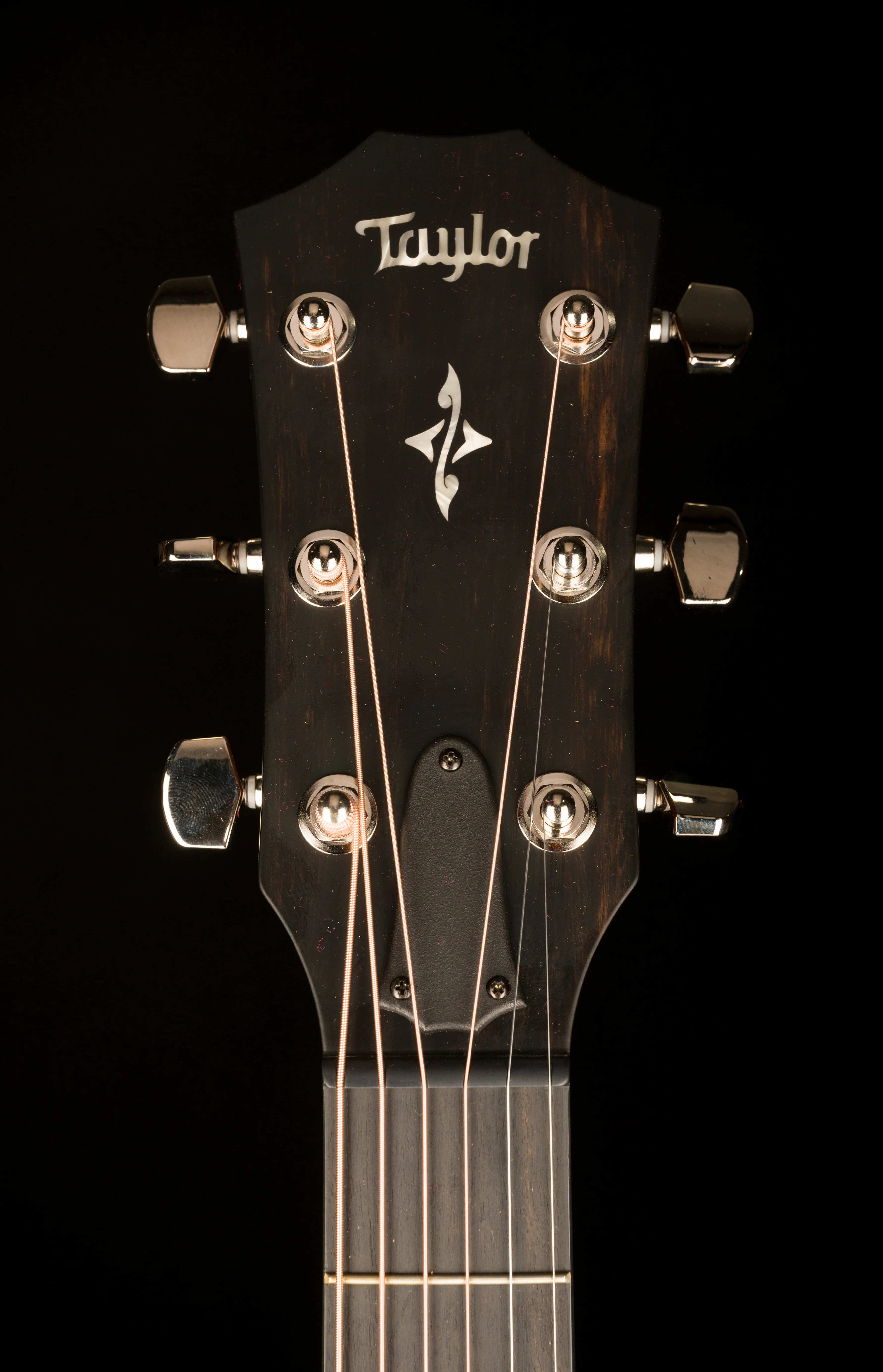Taylor 412ce-R Grand Concert Indian Rosewood Tobacco Sunburst Acoustic Electric Guitar with Case - 1204123126  Demo - Image 14