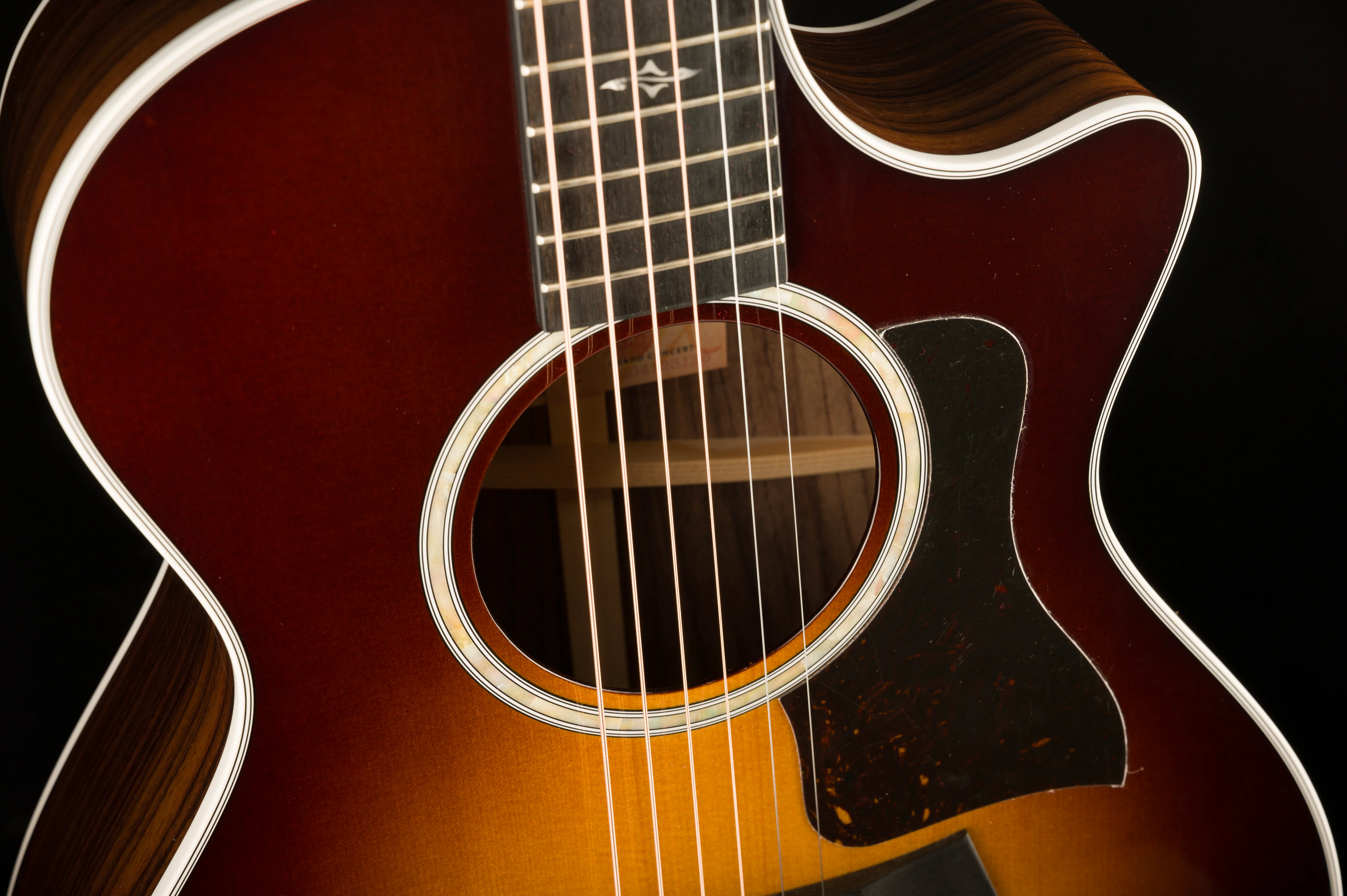 Taylor 412ce-R Grand Concert Indian Rosewood Tobacco Sunburst Acoustic Electric Guitar with Case - 1204123126  Demo - Image 8