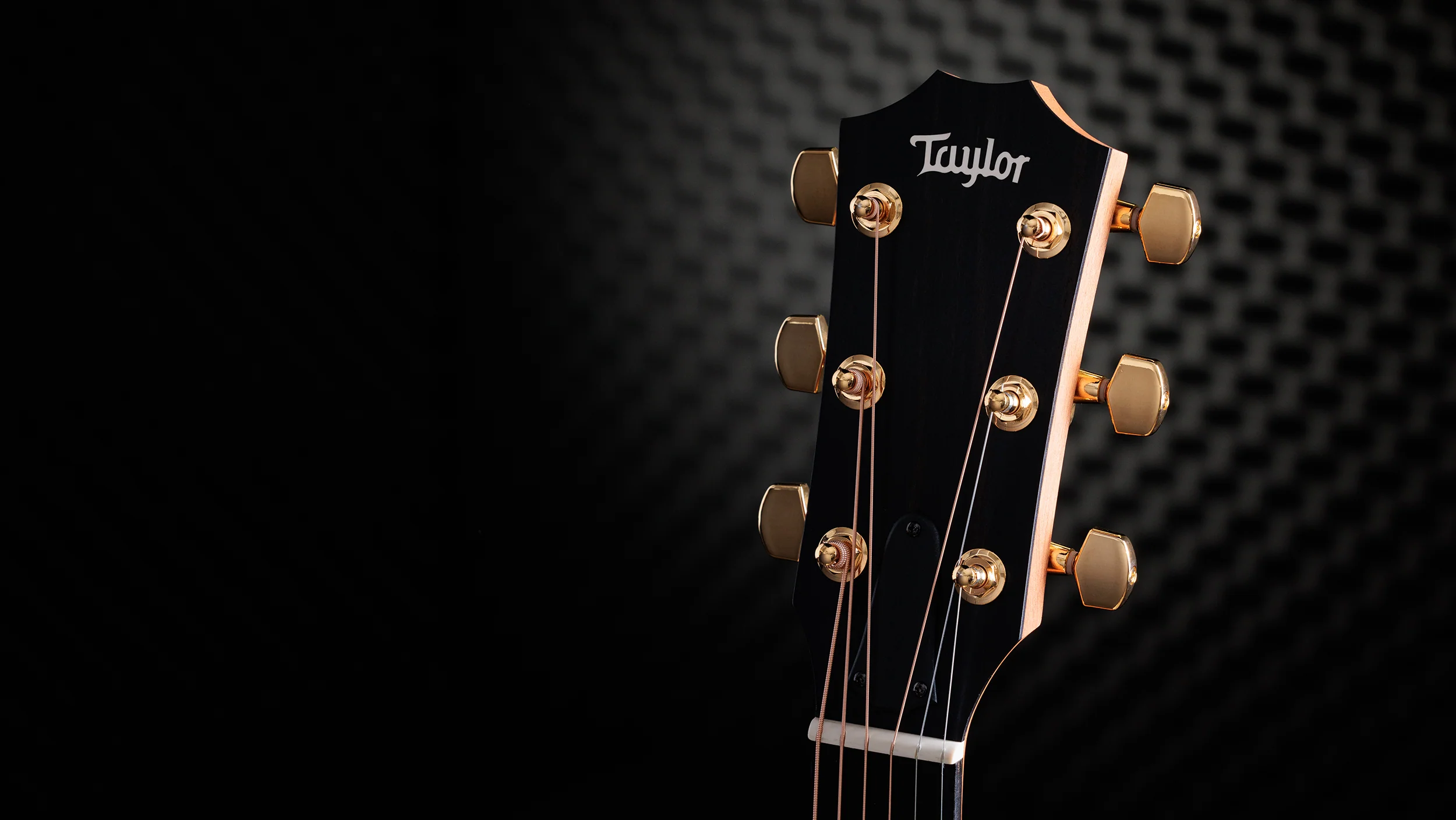 Taylor 50th Anniversary 217e-SB Plus LTD Acoustic Guitar With Case - Image 13