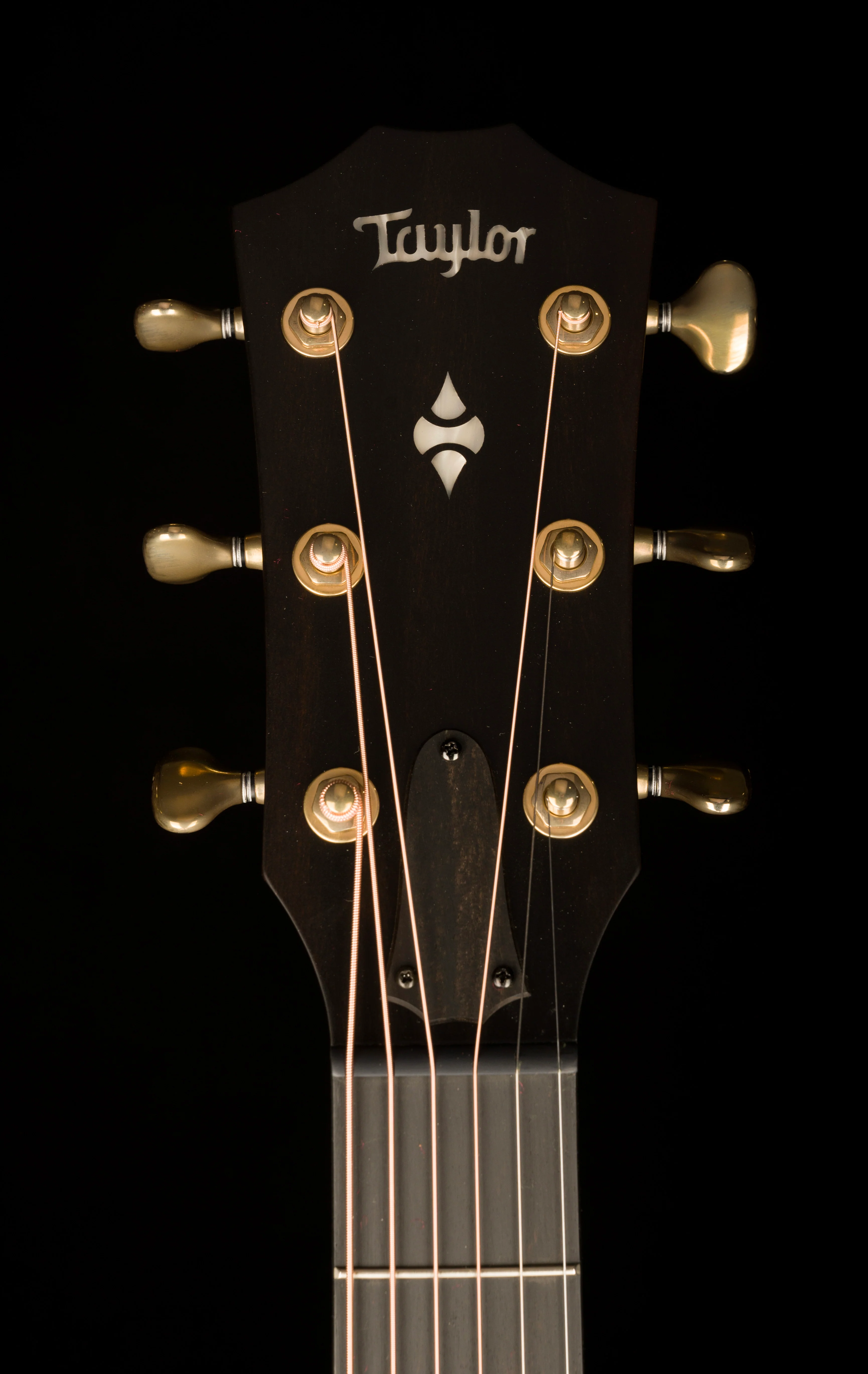 Taylor 50th Anniversary Builder's Edition 314ce LTD Kona Burst With Case - Serial # 1203294093 - Image 14