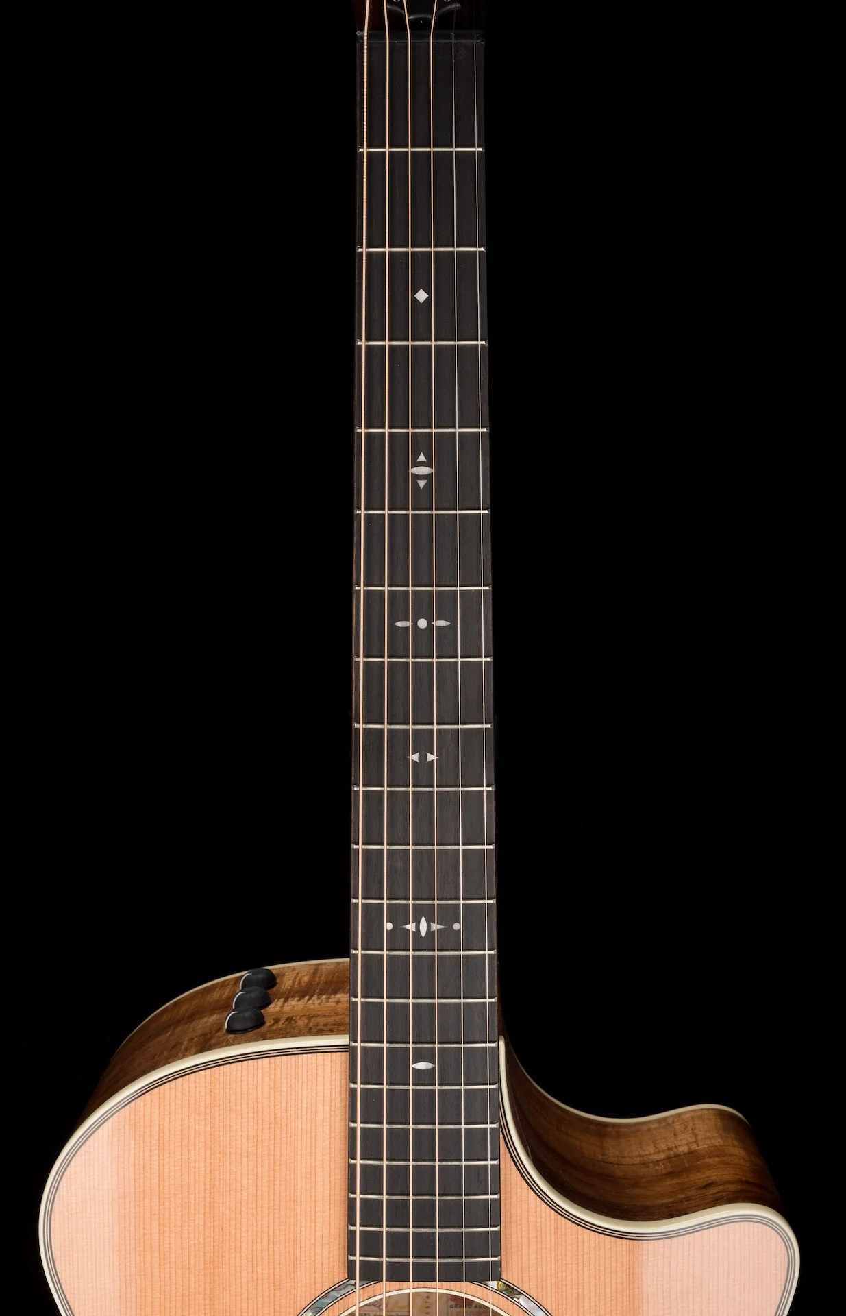 Taylor 514ce LTD Blackwood and Cedar Top (2022) Acoustic Electric Guitar With Case - Serial # 1205272172 - Image 12