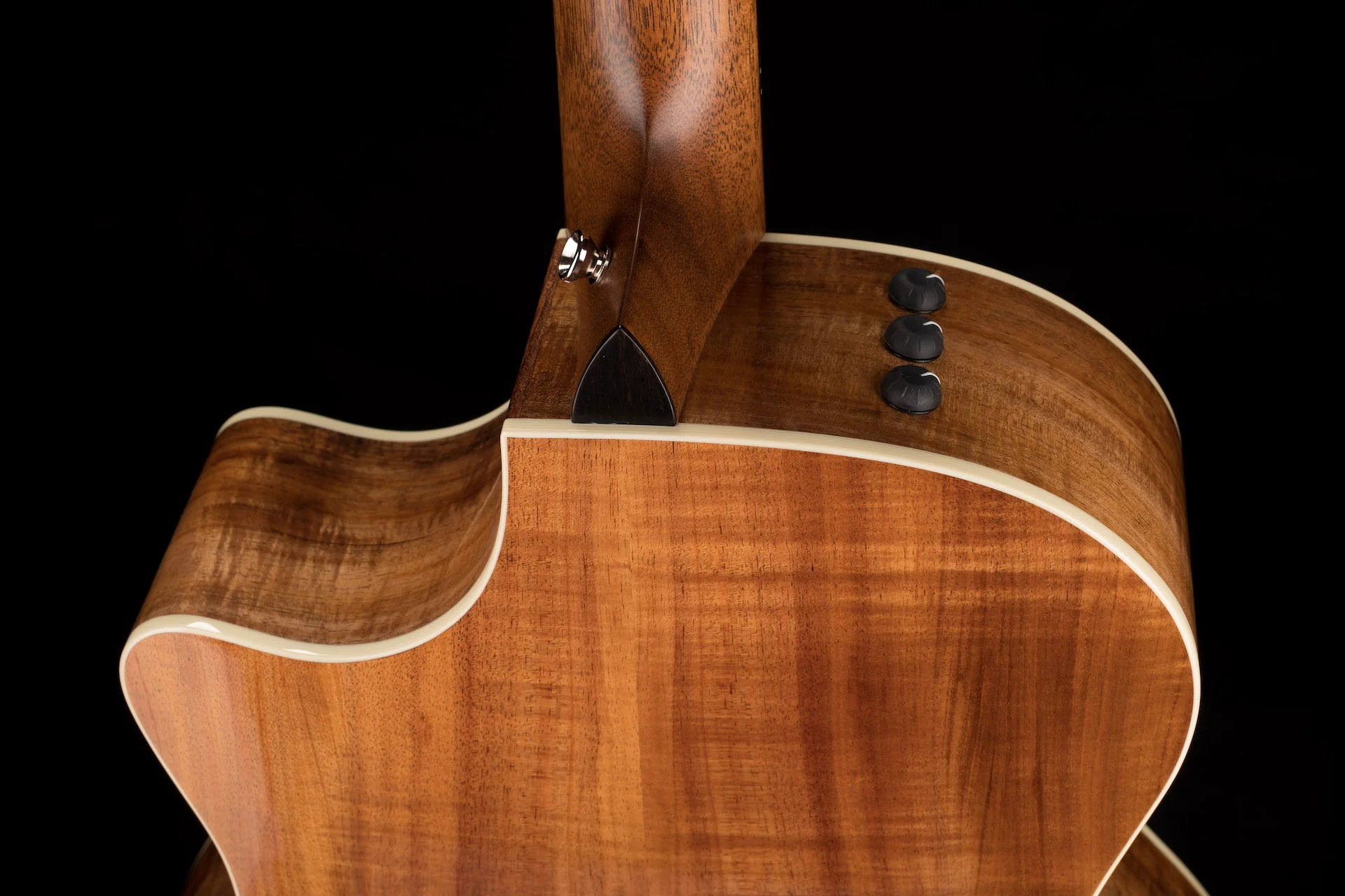 Taylor 514ce LTD Blackwood and Cedar Top (2022) Acoustic Electric Guitar With Case - Serial # 1205272172 - Image 16