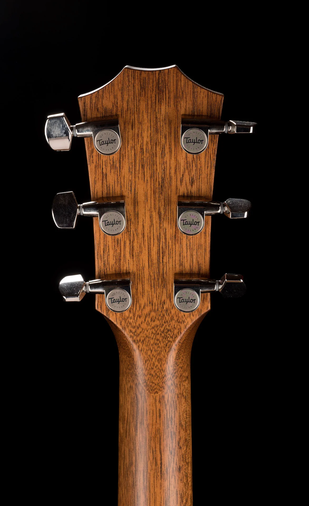 Taylor 514ce LTD Blackwood and Cedar Top (2022) Acoustic Electric Guitar With Case - Serial # 1205272172 - Image 18