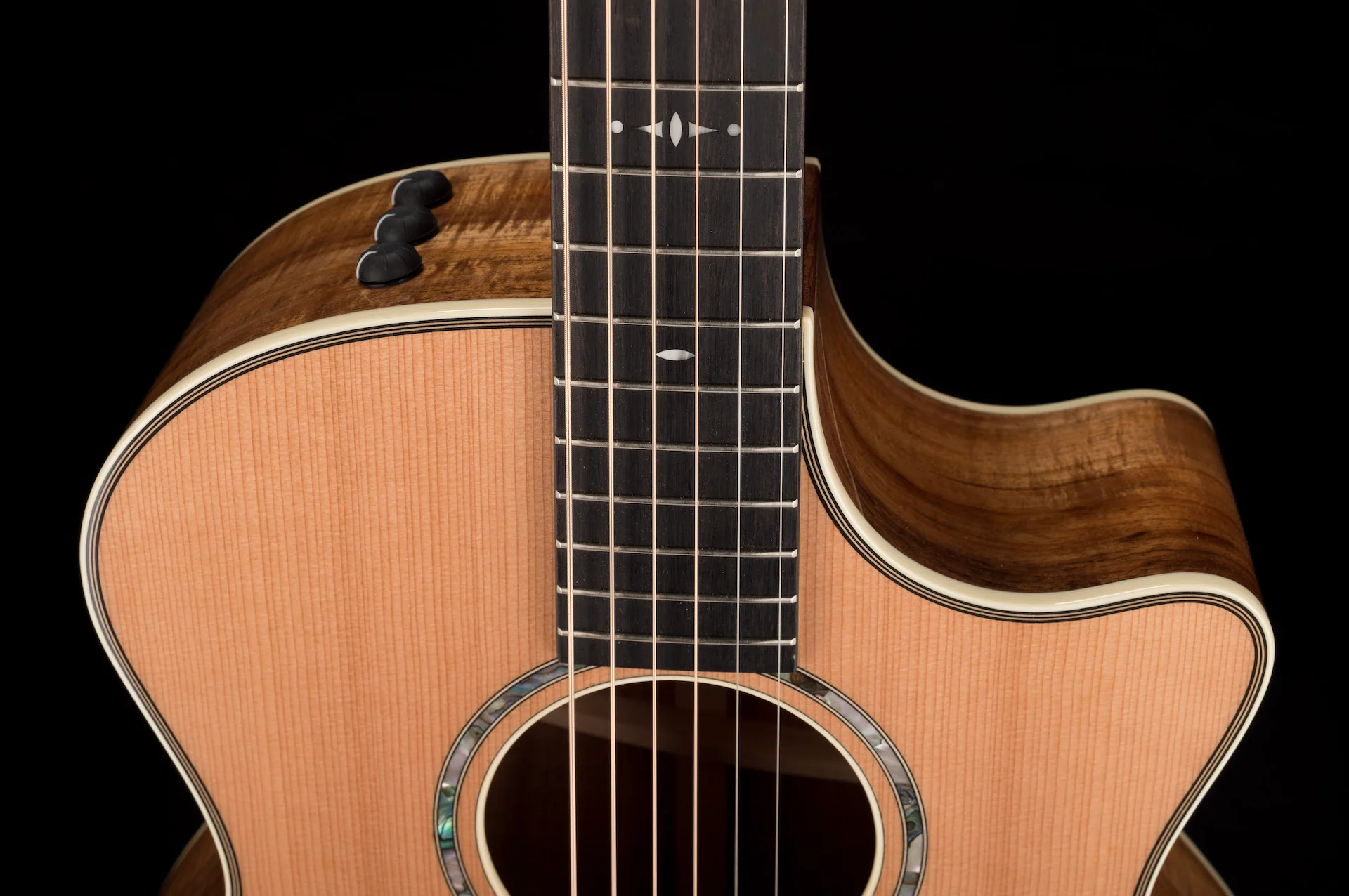Taylor 514ce LTD Blackwood and Cedar Top (2022) Acoustic Electric Guitar With Case - Serial # 1205272172 - Image 3