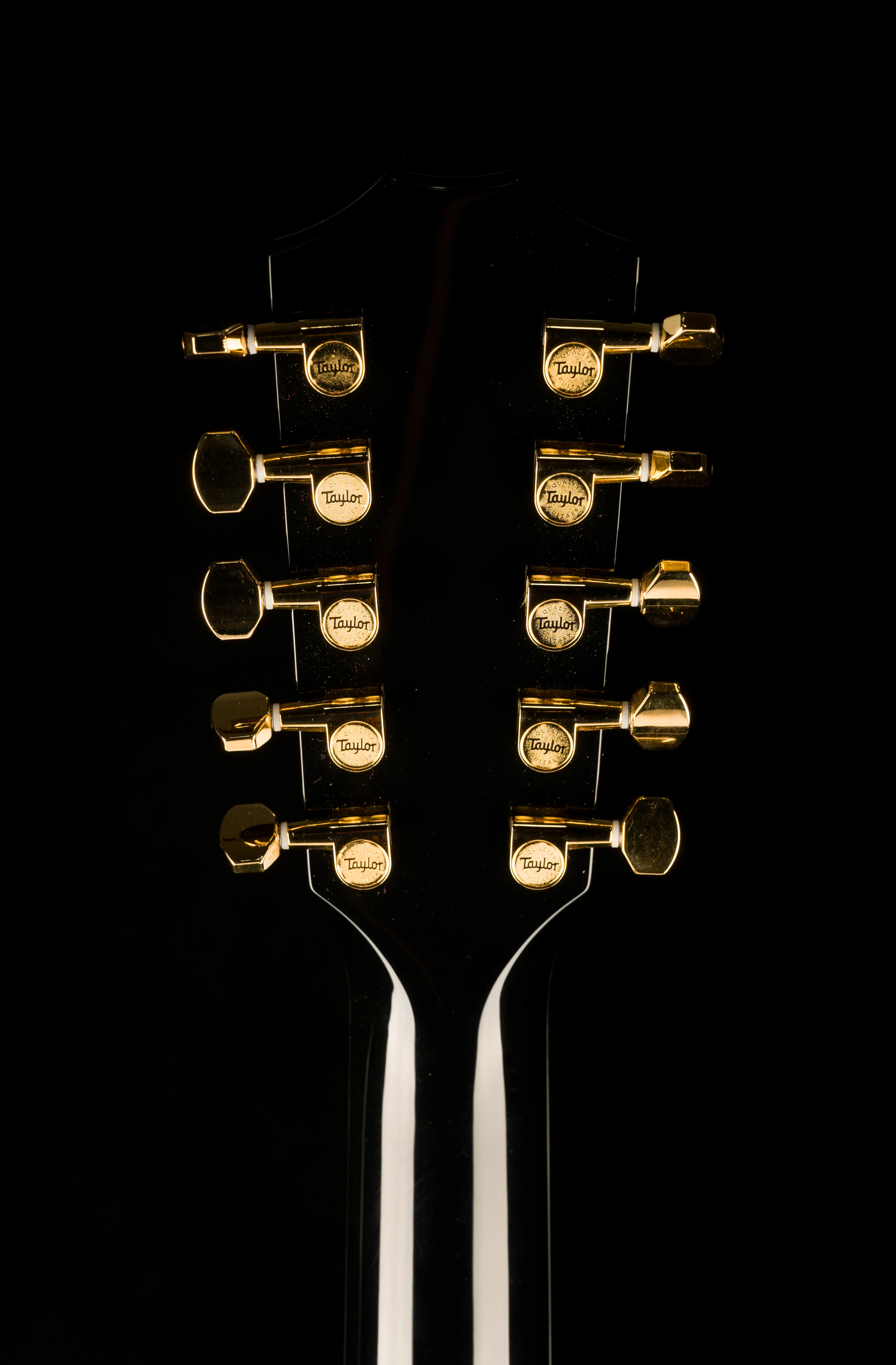 Taylor 657ce Bajo Quinto Big Leaf Maple Acoustic-Electric Guitar - Black - Image 15
