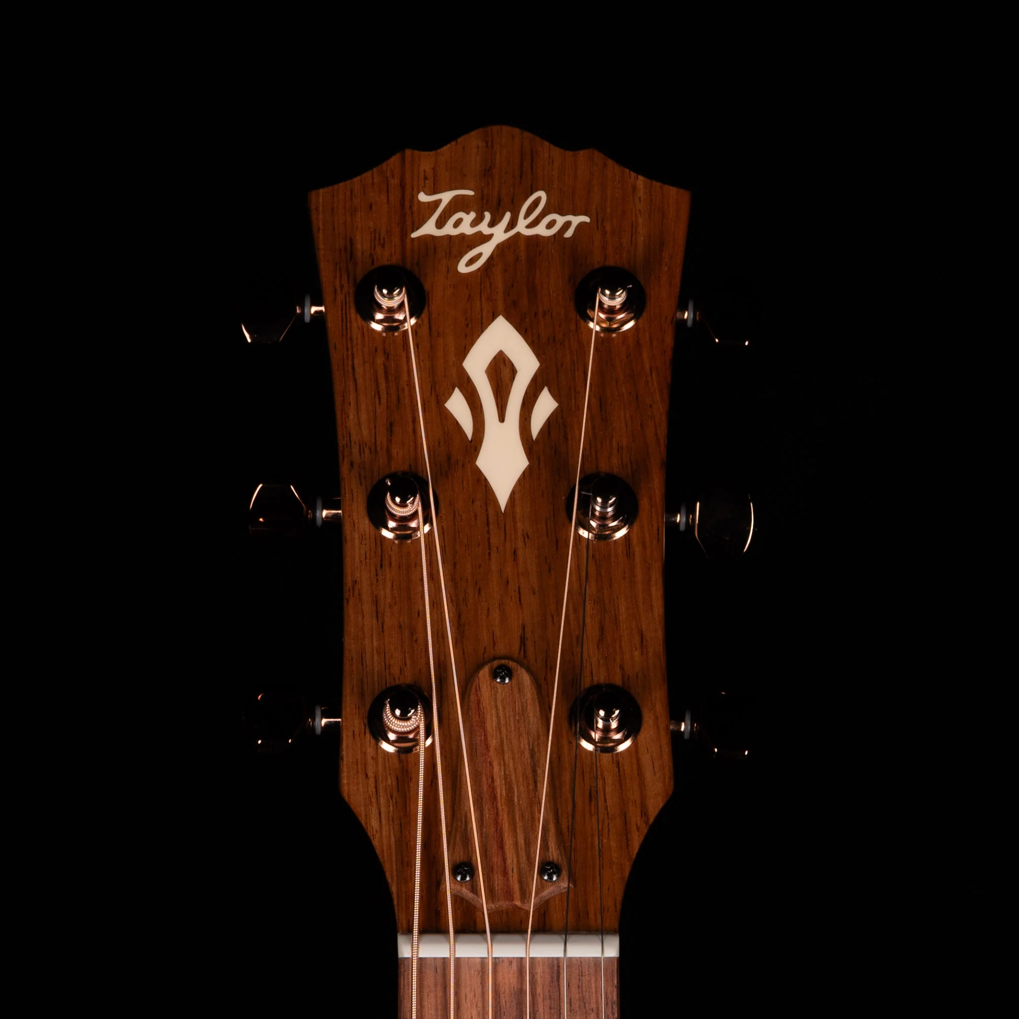 Taylor Signed Ben Harper Gold Label 512e Special Edition Shaded Edgeburst 070 - Image 11