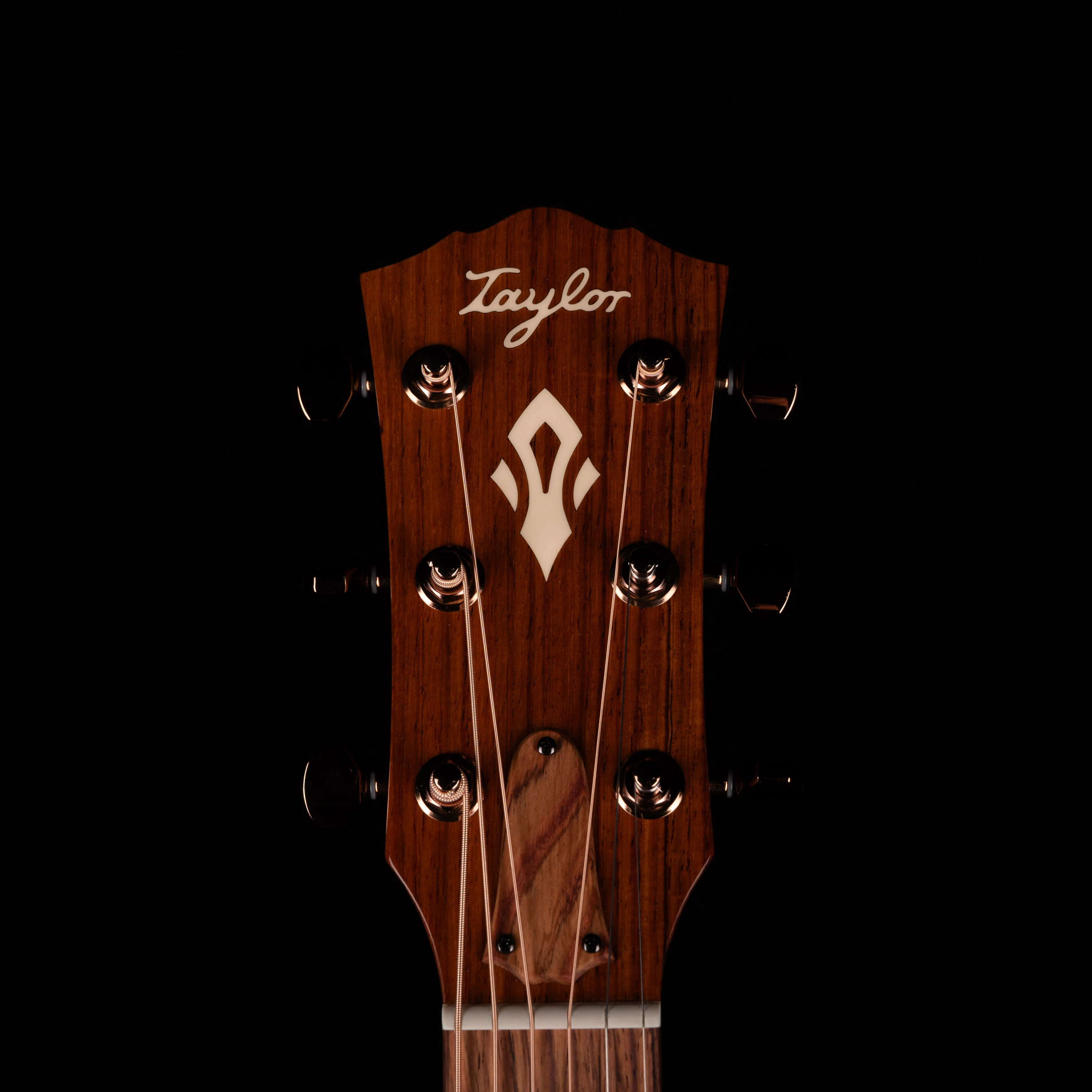 Taylor Ben Harper SIGNED Gold Label 512e Special Edition Shaded Edgeburst 023 - Image 10