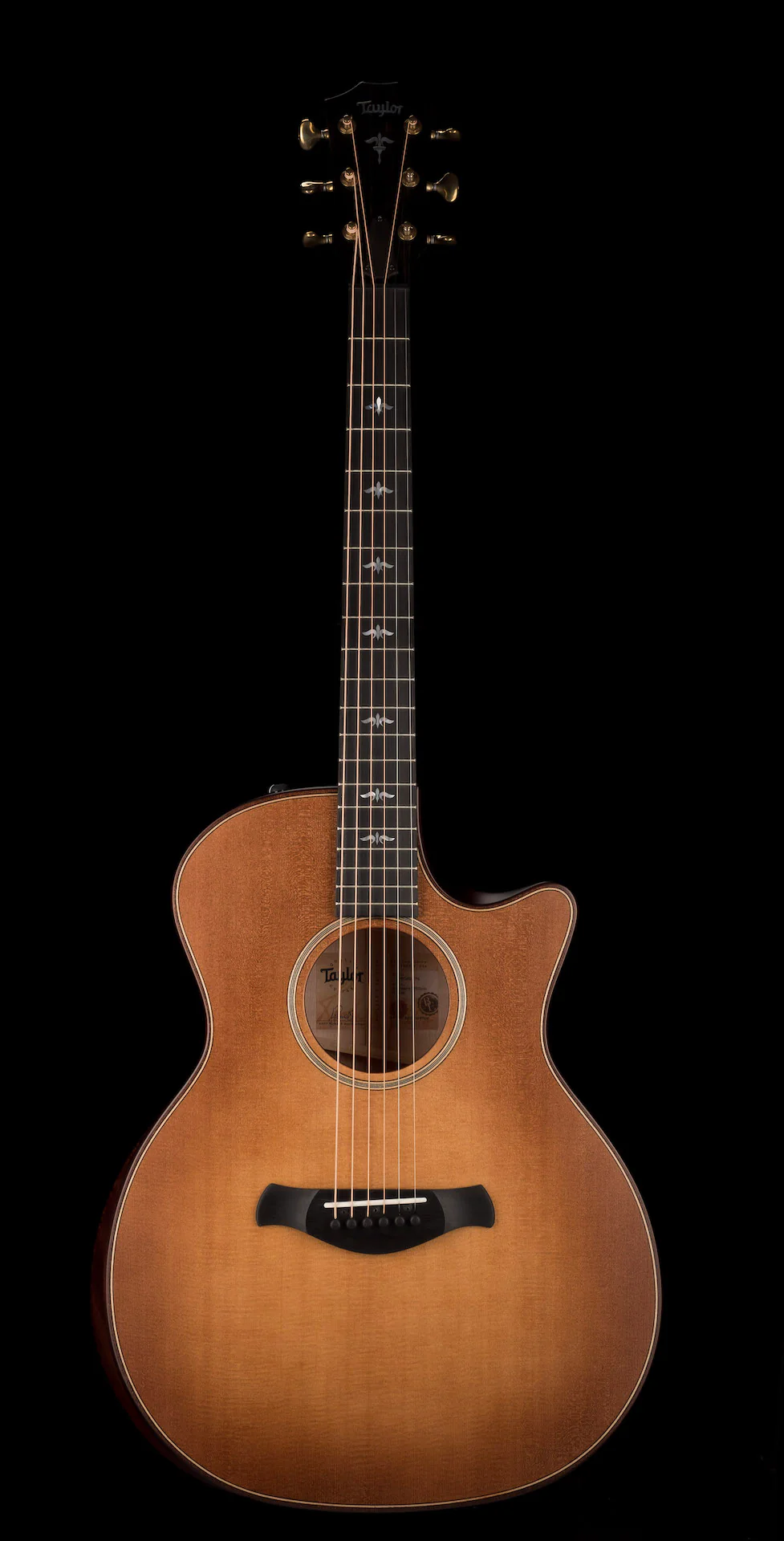Taylor Builder's Edition 614ce Wild Honey Burst Acoustic Electric Guitar W/ Case - Demo - Image 2