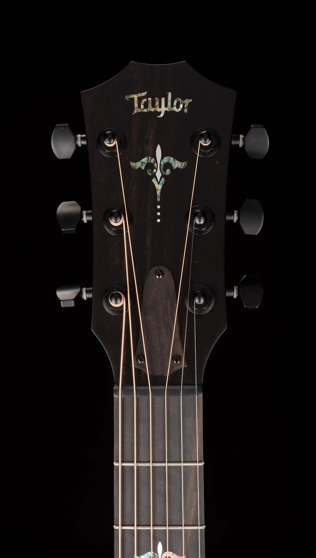 Taylor Custom Grand Theater C21e Tasmanian Blackwood Catch # 44 with Case - Image 15
