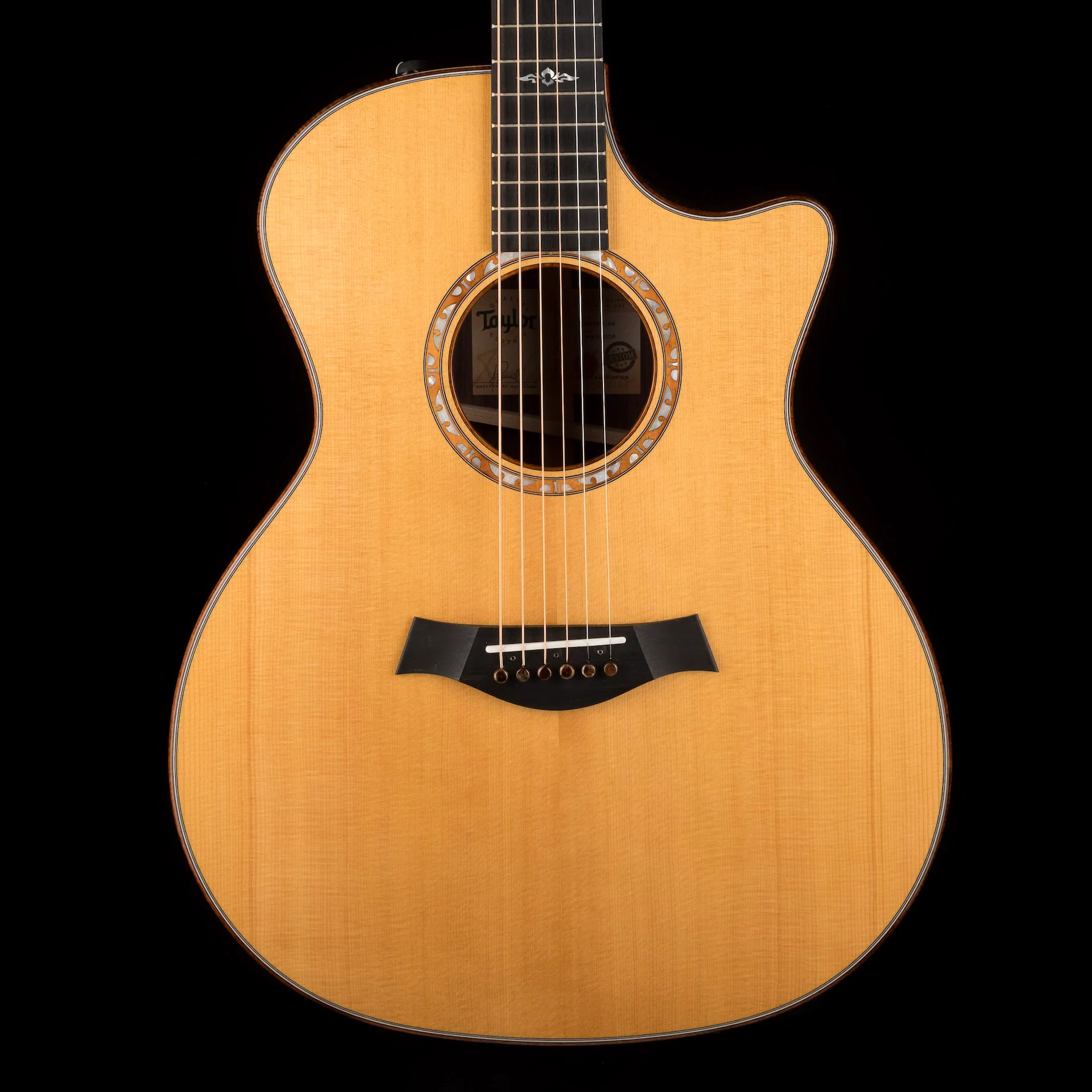 Taylor Custom Grand Auditorium C14ce Torrefied Sitka Spruce and Indian Rosewood - Catch Event # 6 - with Case