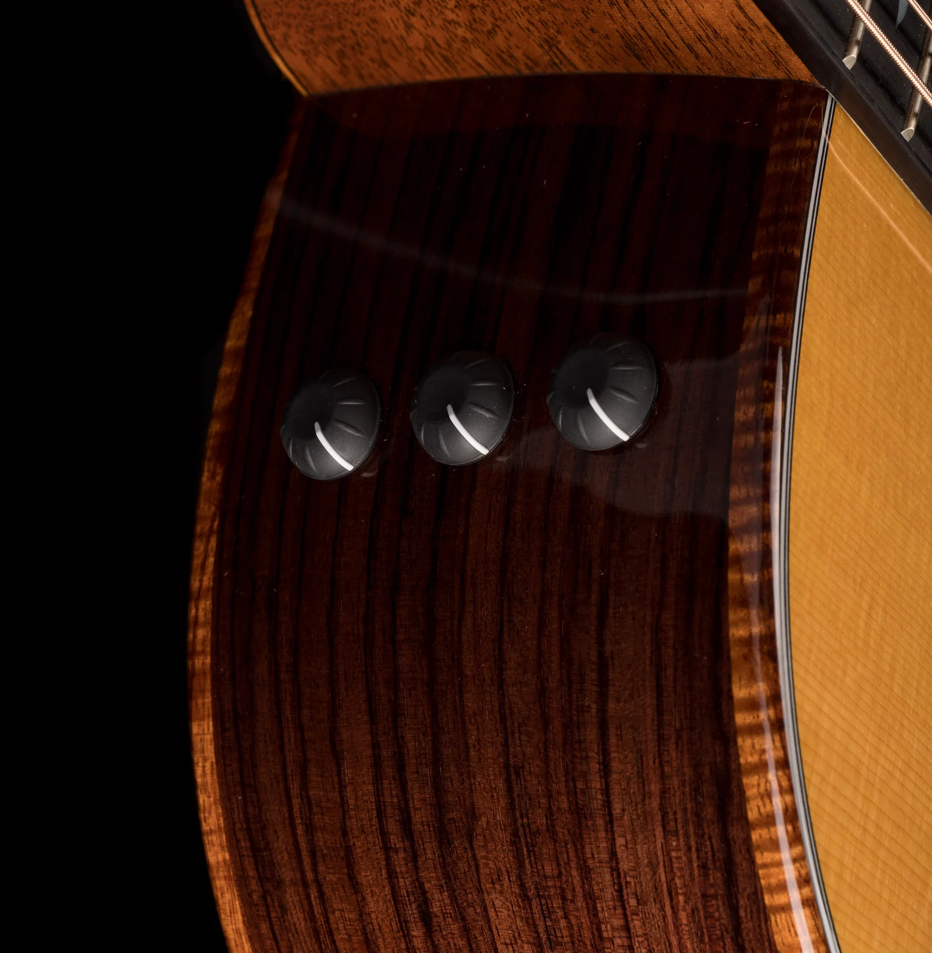 Taylor Custom Grand Auditorium C14ce Torrefied Sitka Spruce and Indian Rosewood - Catch Event # 6 - with Case - Image 10
