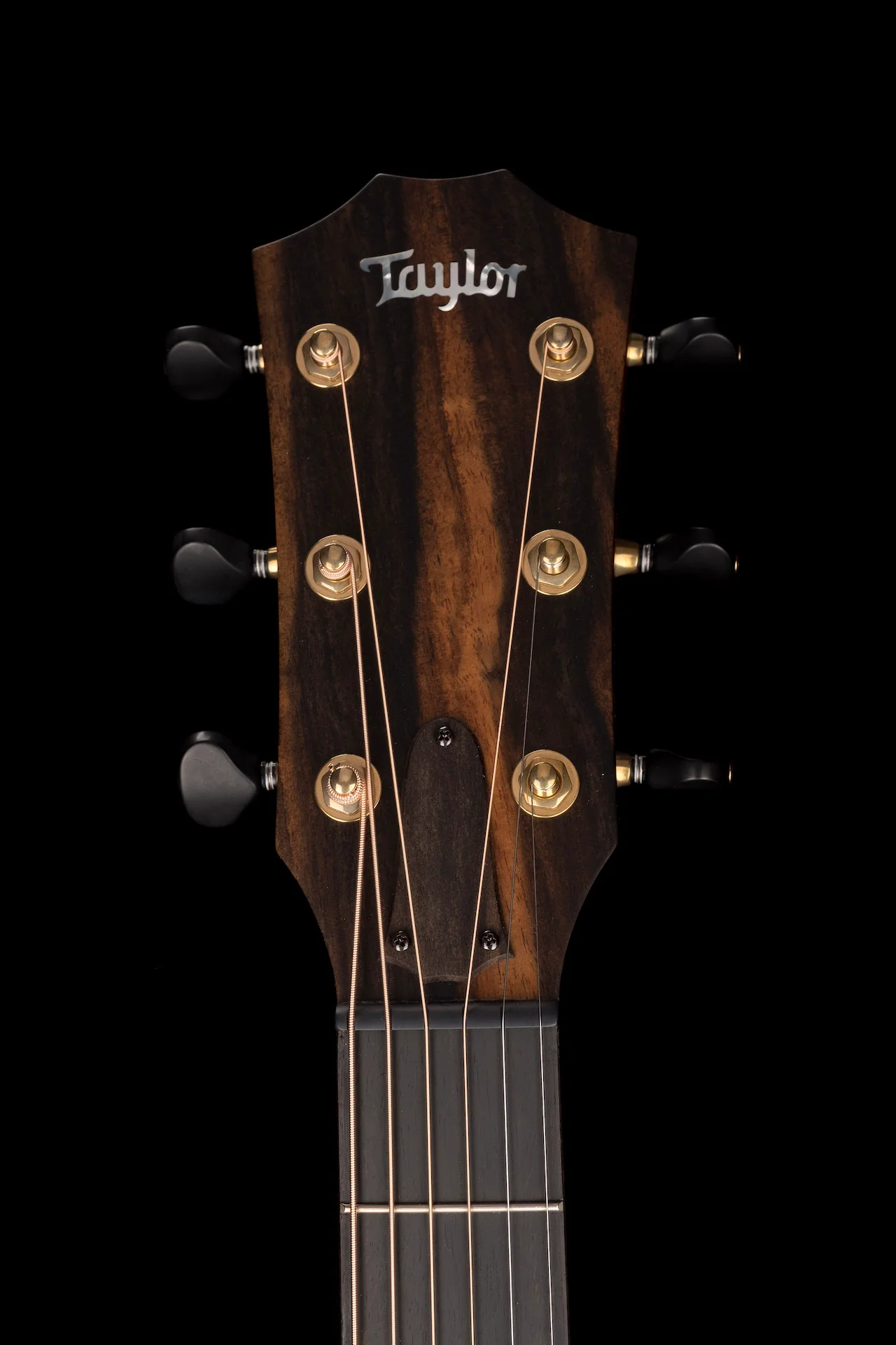 Taylor Custom Grand Auditorium C14ce Torrefied Sitka Spruce and Indian Rosewood - Catch Event # 6 - with Case - Image 13