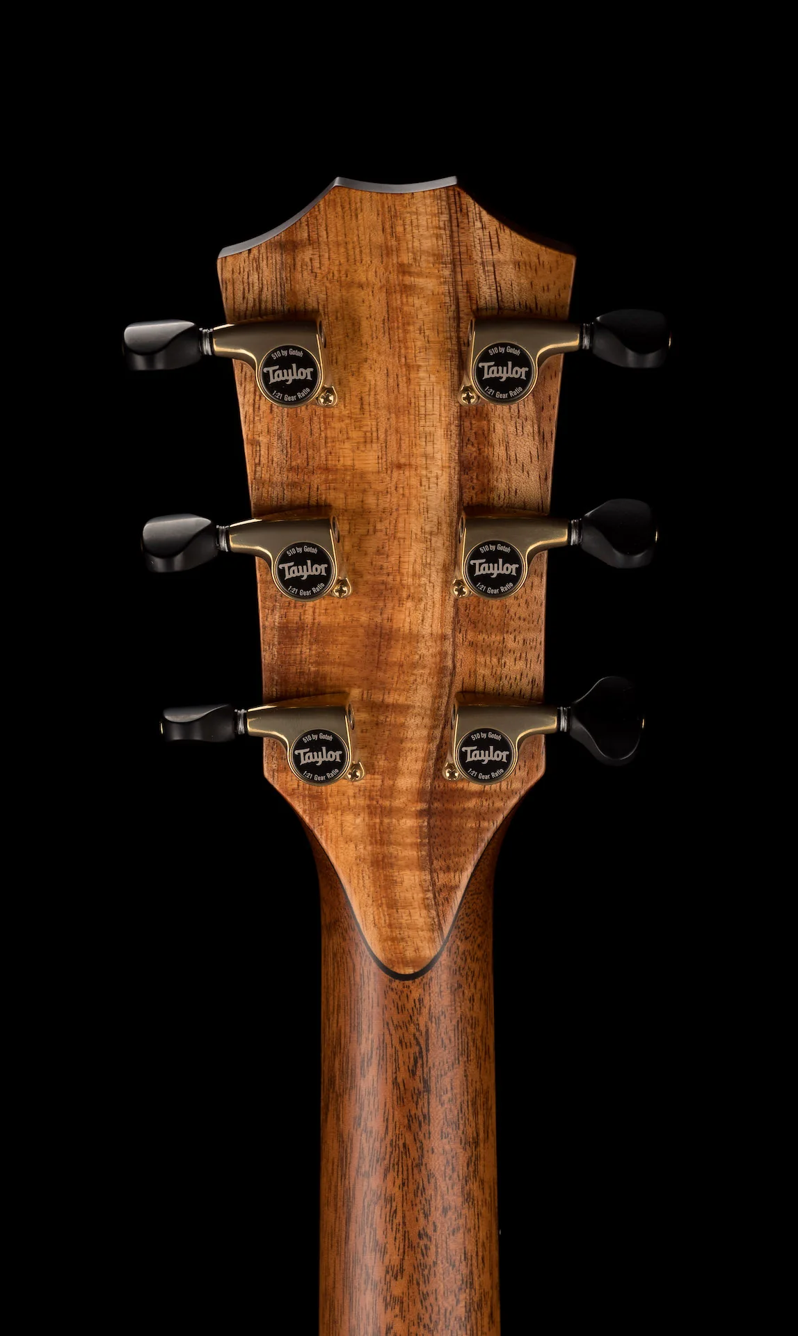 Taylor Custom Grand Auditorium C14ce Torrefied Sitka Spruce and Indian Rosewood - Catch Event # 6 - with Case - Image 18