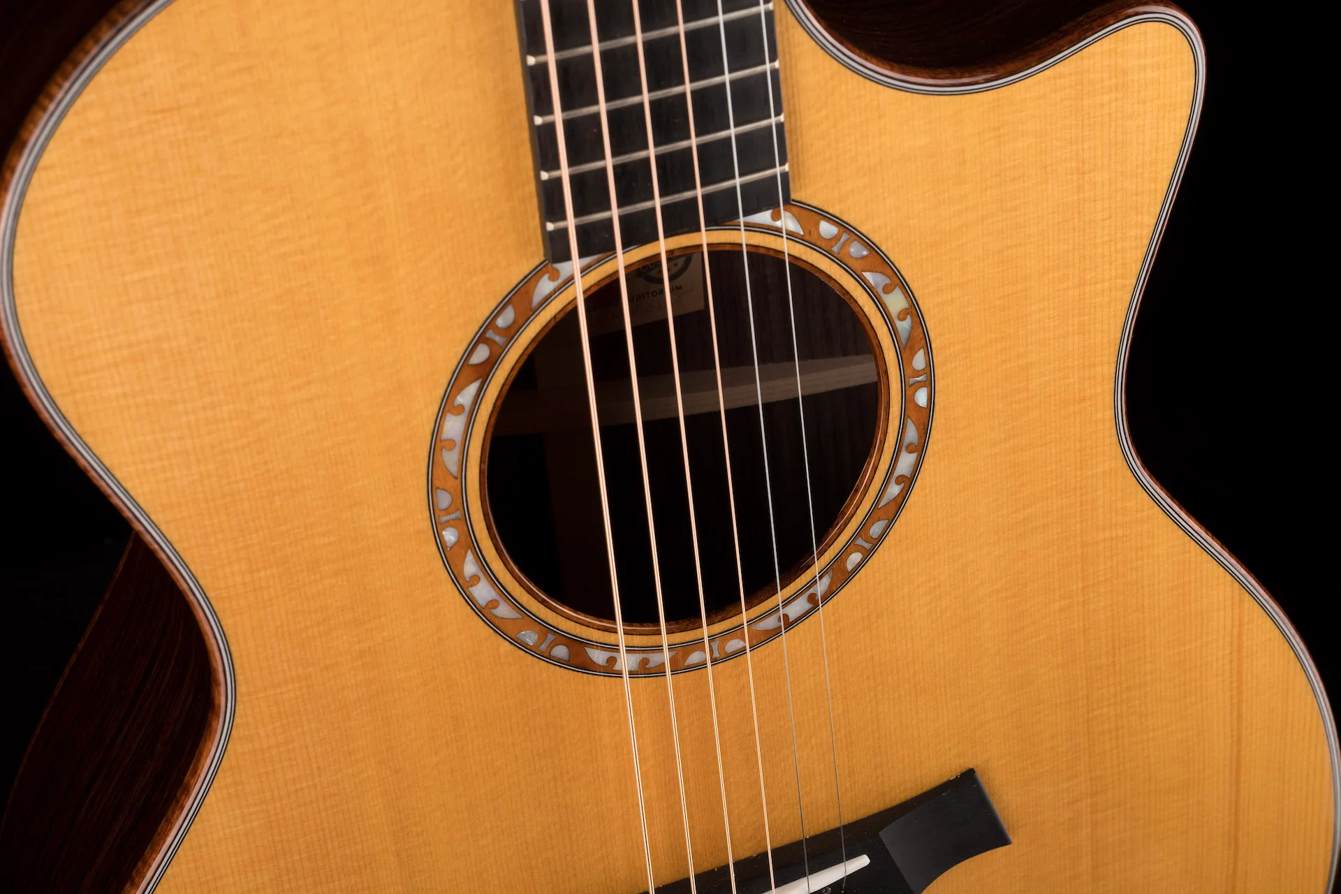 Taylor Custom Grand Auditorium C14ce Torrefied Sitka Spruce and Indian Rosewood - Catch Event # 6 - with Case - Image 7
