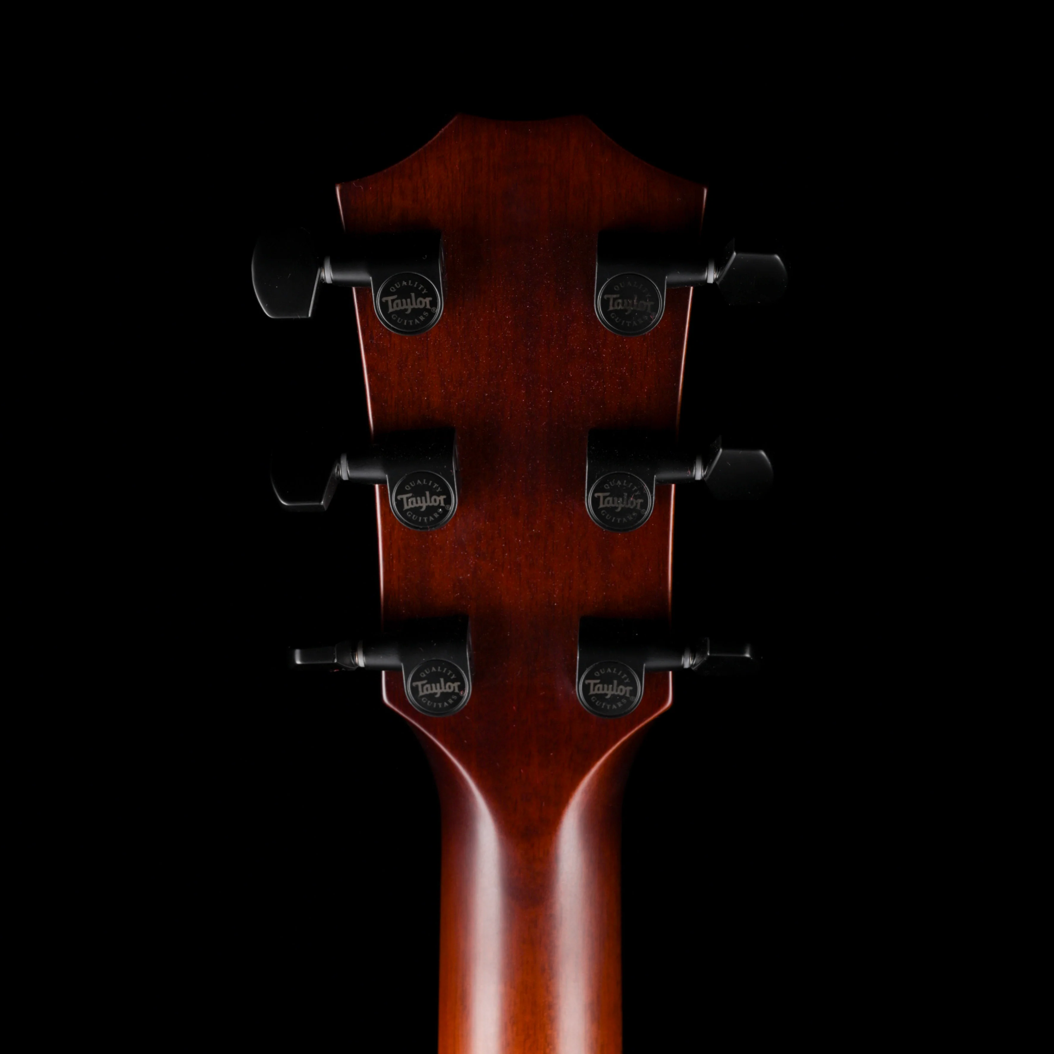 Taylor Custom Grand Auditorium C24ce Ribbon Mahogany Shaded Edgeburst Catch # 50 - Image 14