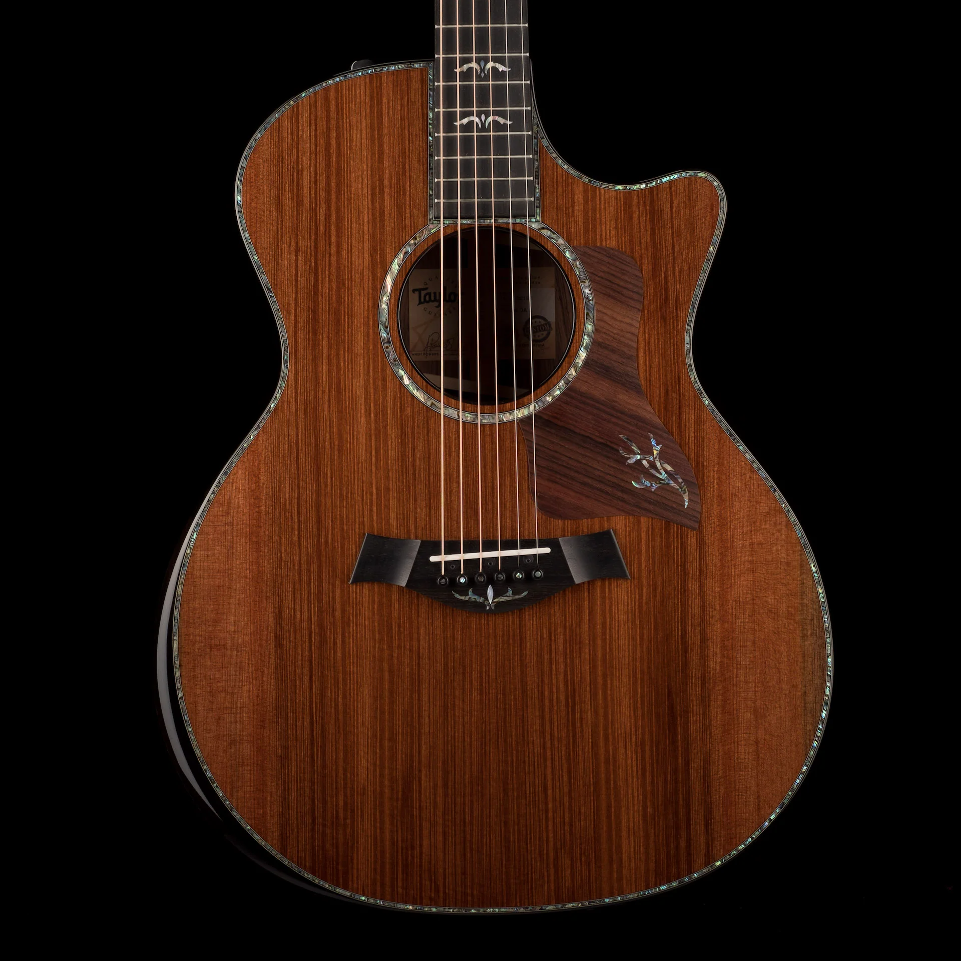Taylor Custom Grand Auditorium Presentation/900 Series Honduran Rosewood and Sinker Mahogany With Case
