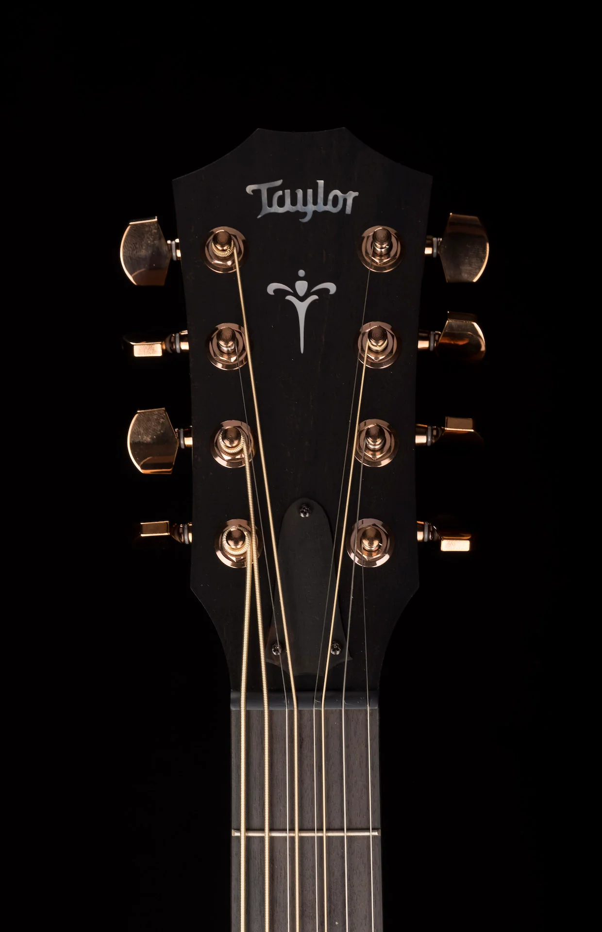 Taylor Custom Grand Symphony 8-String Baritone C26ce Koa - Catch Event # 24 - with Case - Image 13