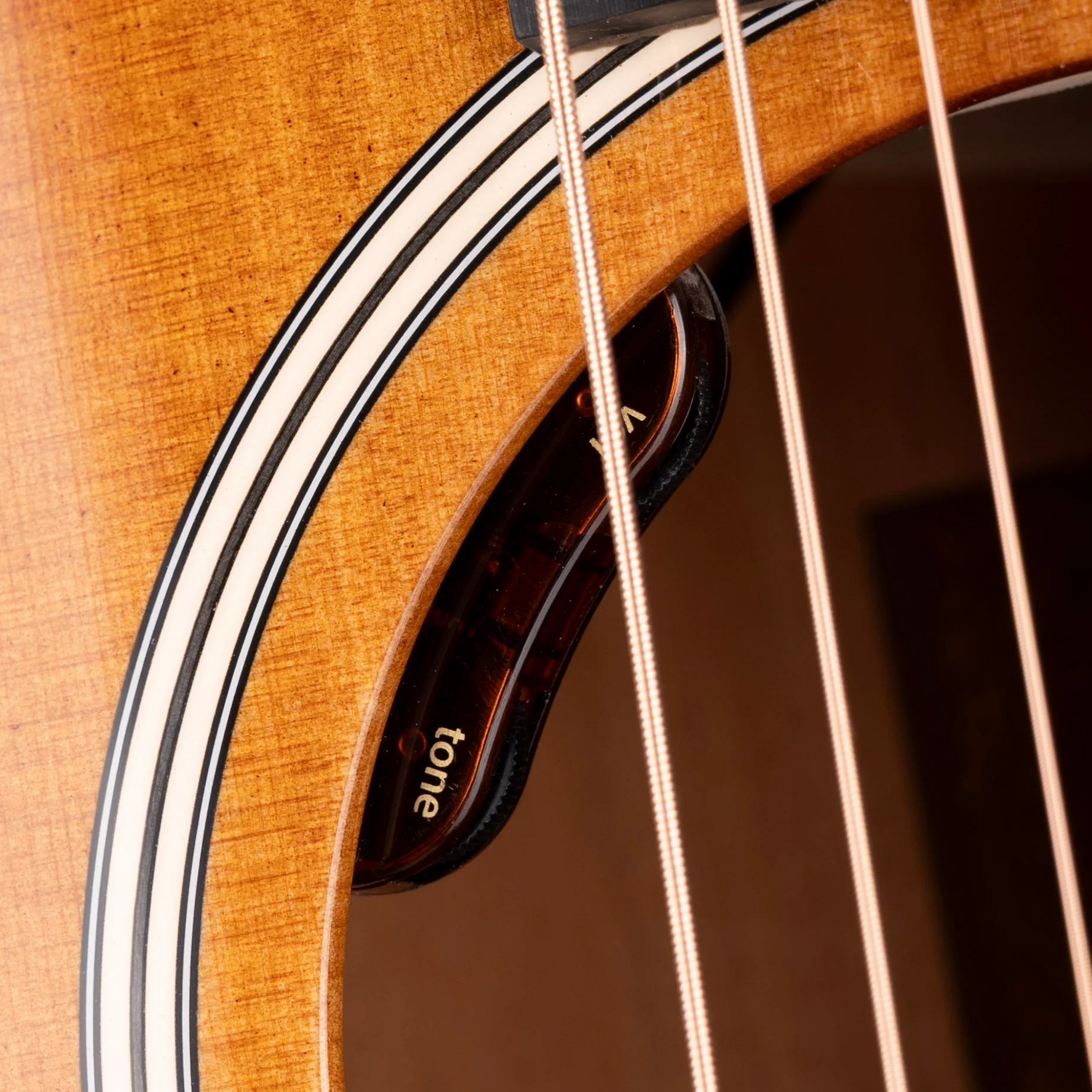 Taylor Gold Label 517e Shaded Edgeburst Acoustic Electric Guitar with Case - Image 8