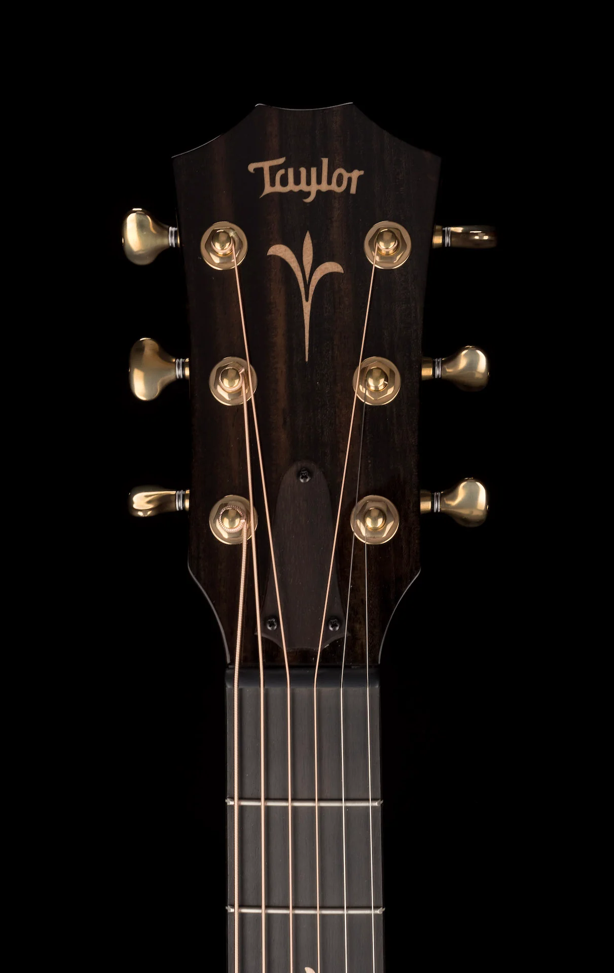 Taylor GT K21e Grand Theater Hawaiian Koa Acoustic Electric Guitar With Aerocase - Demo - Image 13