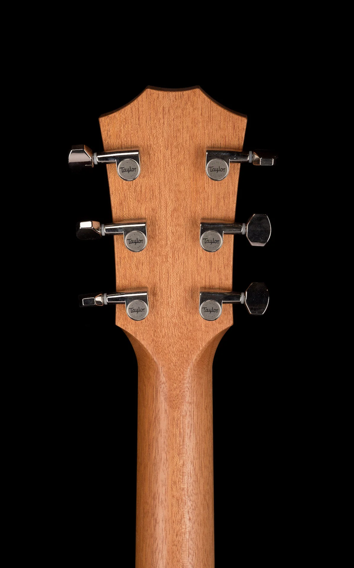 Taylor GT Urban Ash  Acoustic Guitar With Aerocase - Image 15