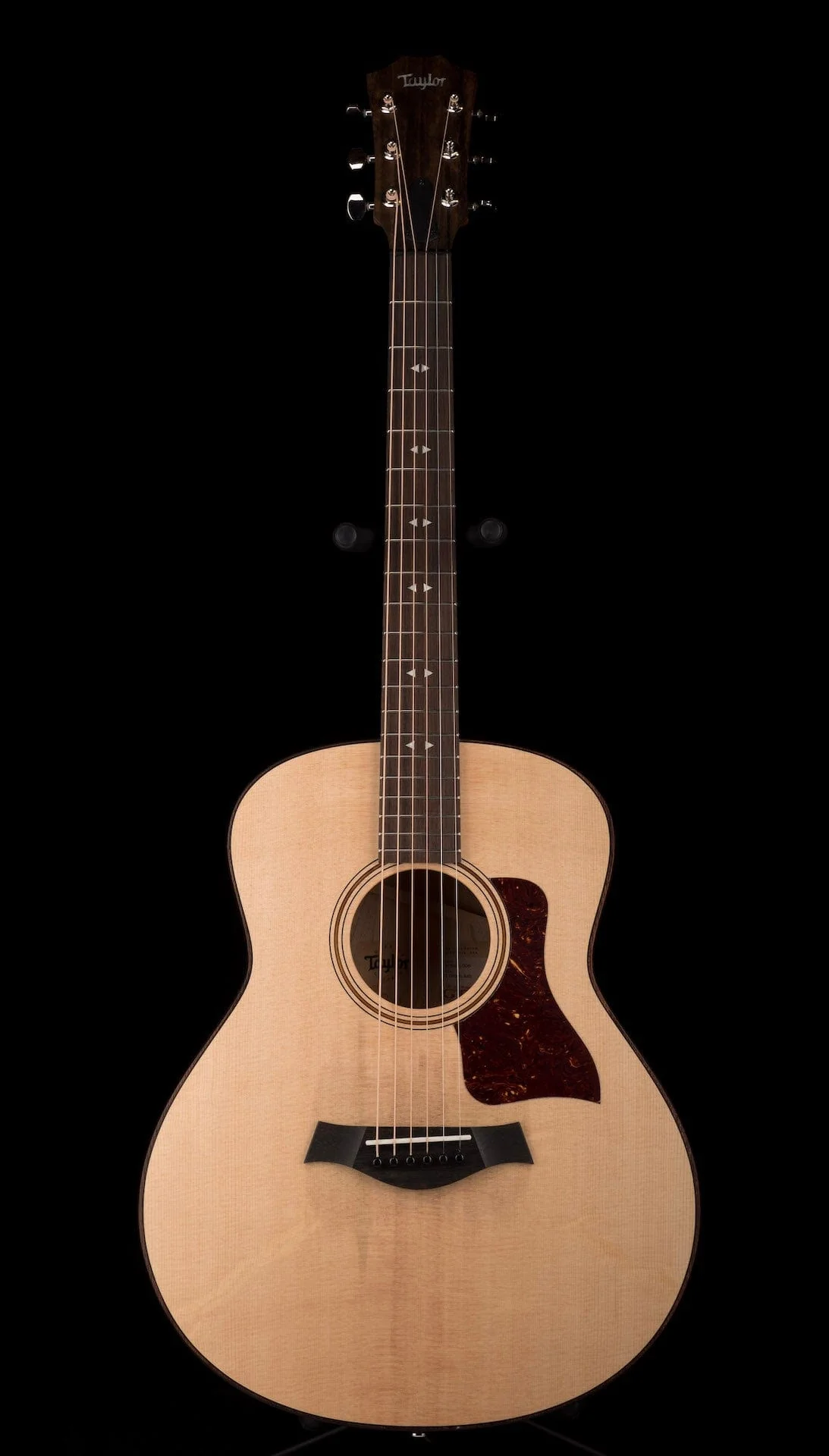 Taylor GT Urban Ash  Acoustic Guitar With Aerocase - Image 2