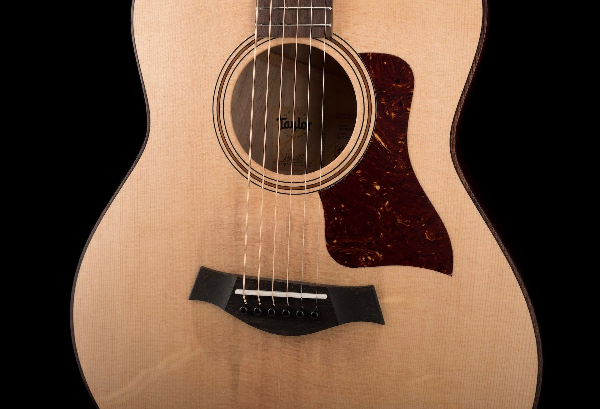 Taylor GT Urban Ash  Acoustic Guitar With Aerocase - Image 5