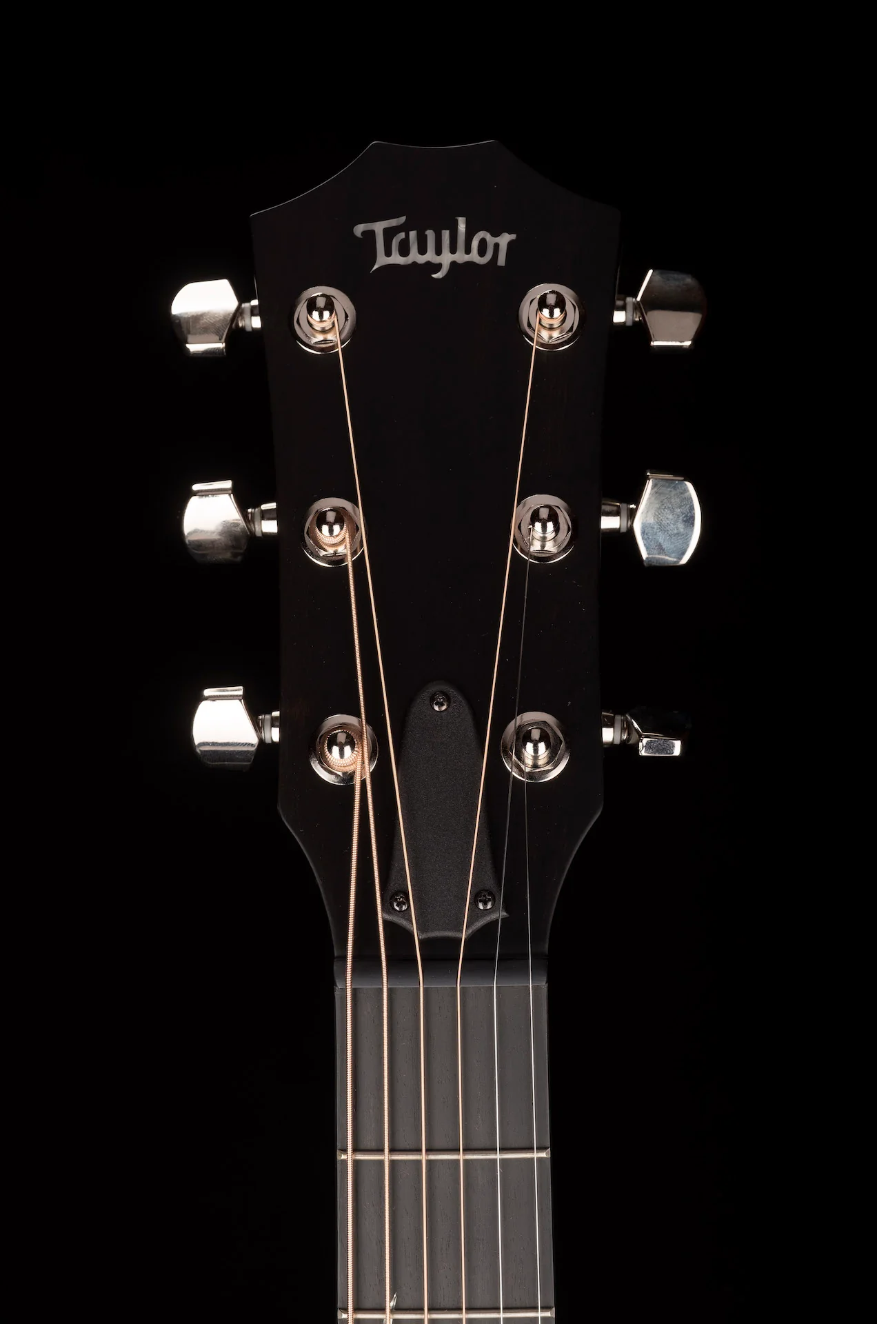 Taylor Limited Edition 414ce-R Lily & Vine Tobacco Shaded Edgeburst with Case - Only 100 Made - Image 17