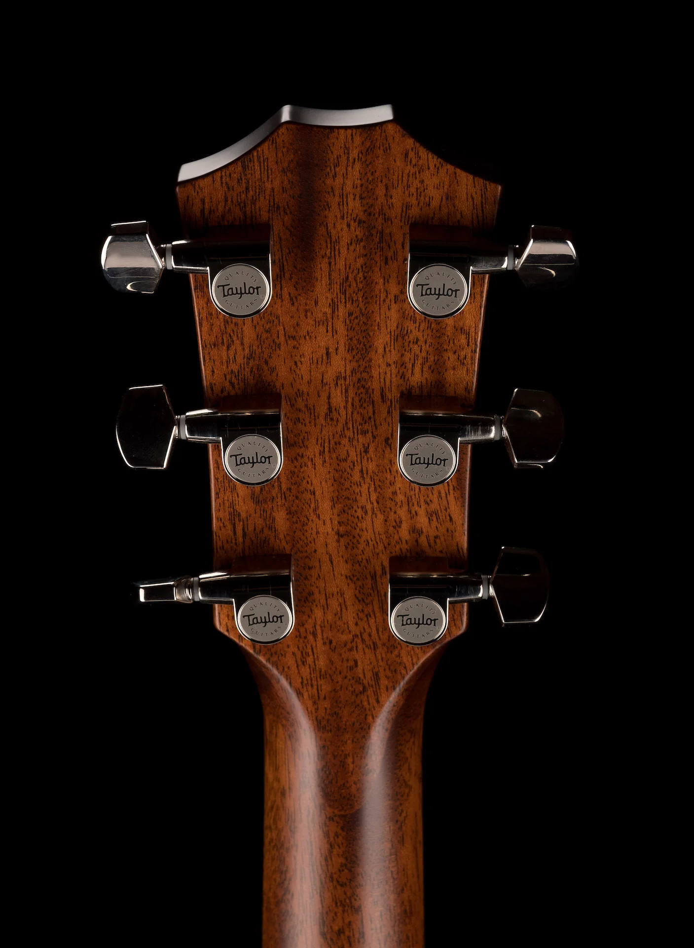 Taylor Limited Edition 414ce-R Lily & Vine Tobacco Shaded Edgeburst with Case - Only 100 Made - Image 18