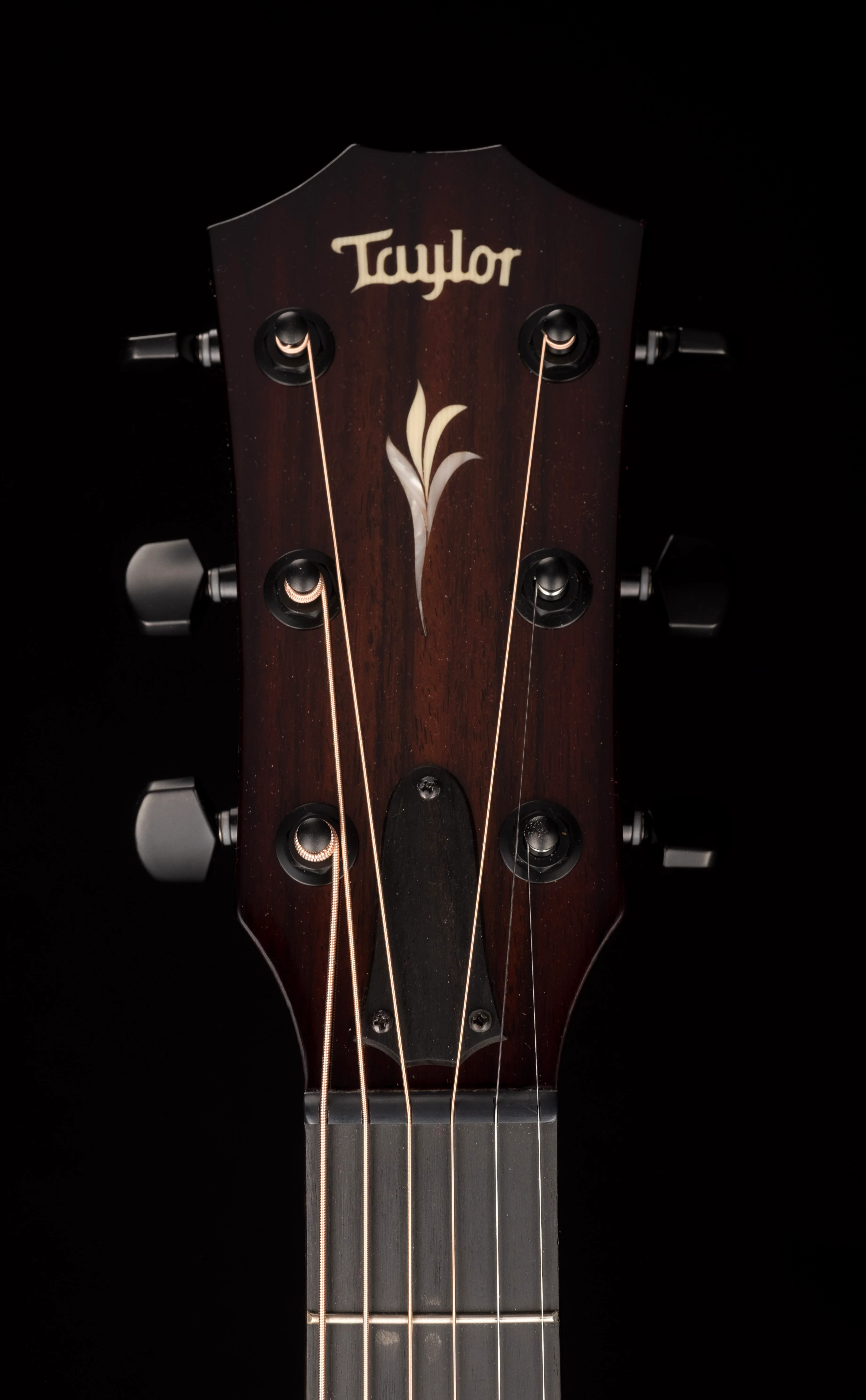 Taylor Limited Edition Custom Grand Concert C22e Catch # 25 - Image 14