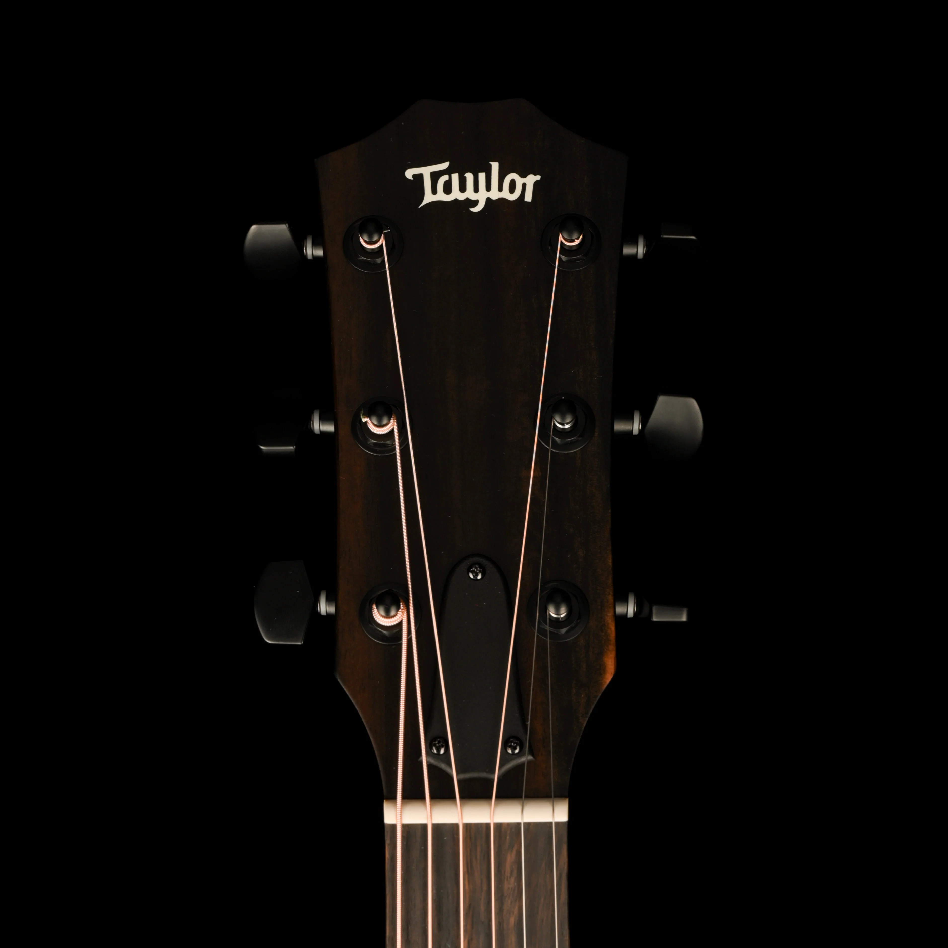 Taylor Special Edition 214ce Plus Trans Blue Top with Gig Bag - Image 10