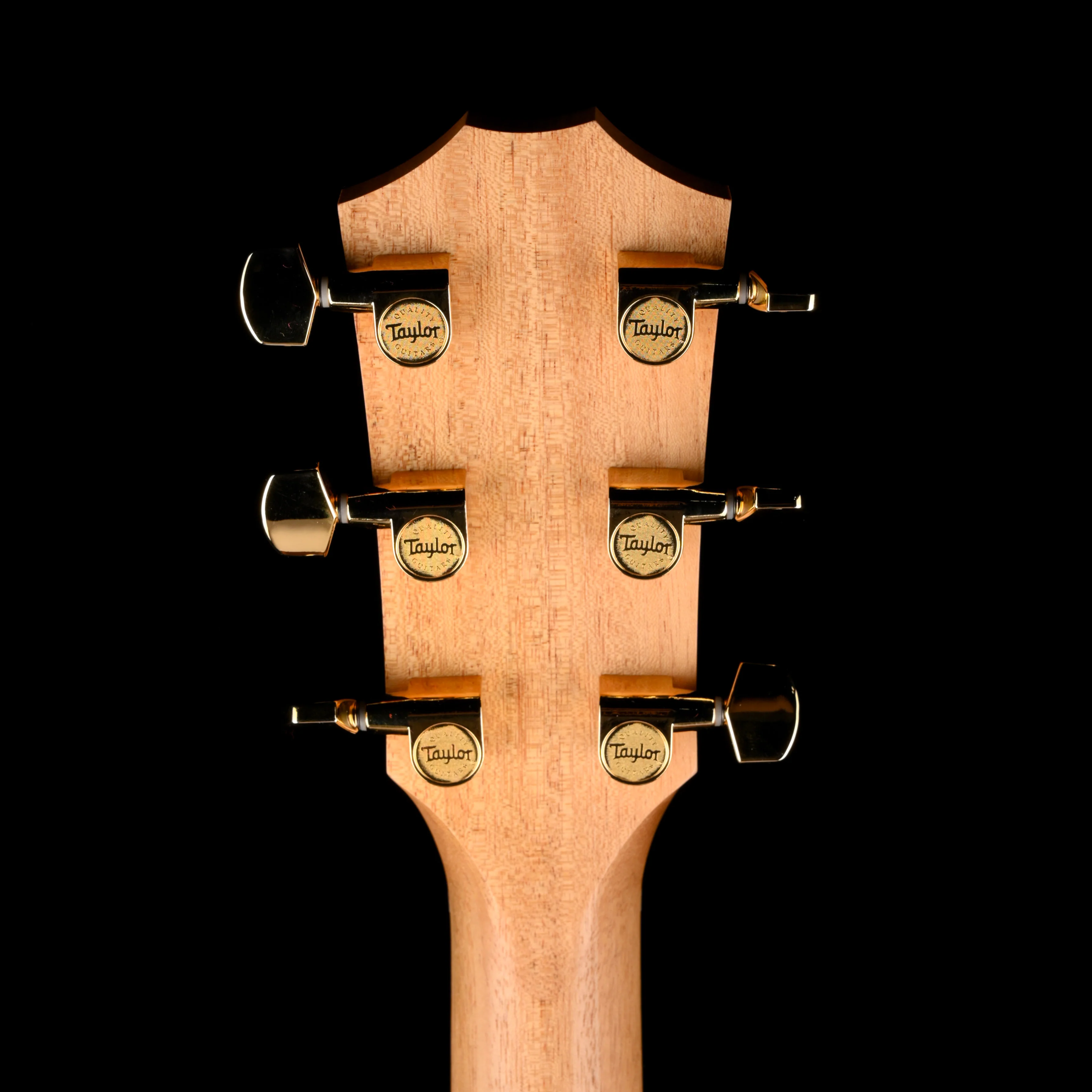 Taylor Special Edition 214ce Tigerwood Shaded Edgeburst Acoustic Electric Guitar With Case - Image 15