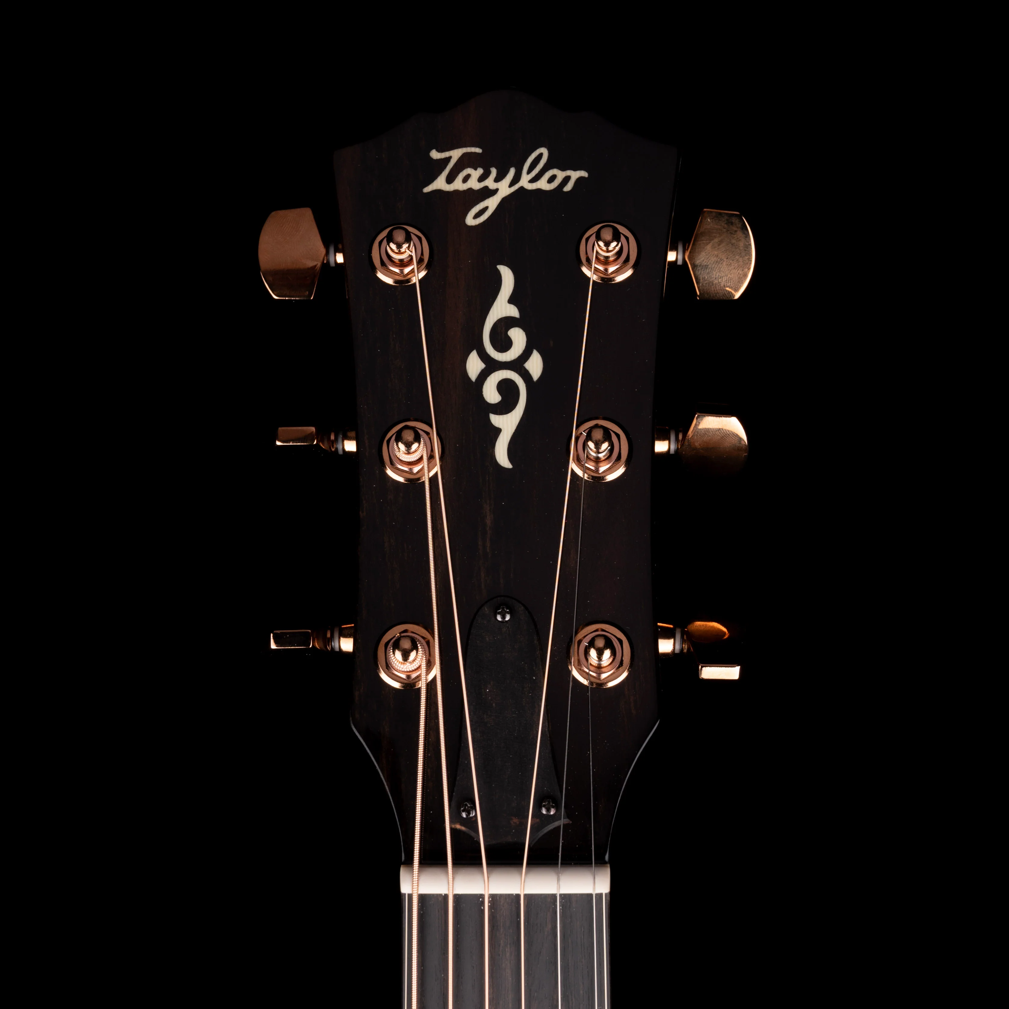 Taylor Truetone Custom Select Gold Label 814e Super Auditorium Mahogany Natural with Case - Image 13